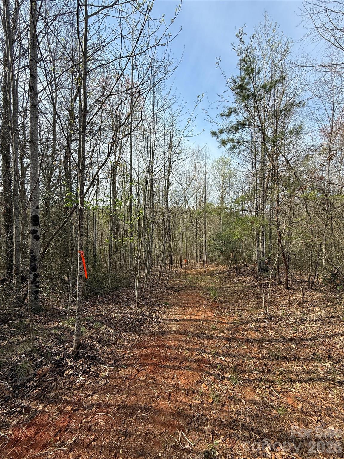 MASTERPIECE MEADOWS - Land