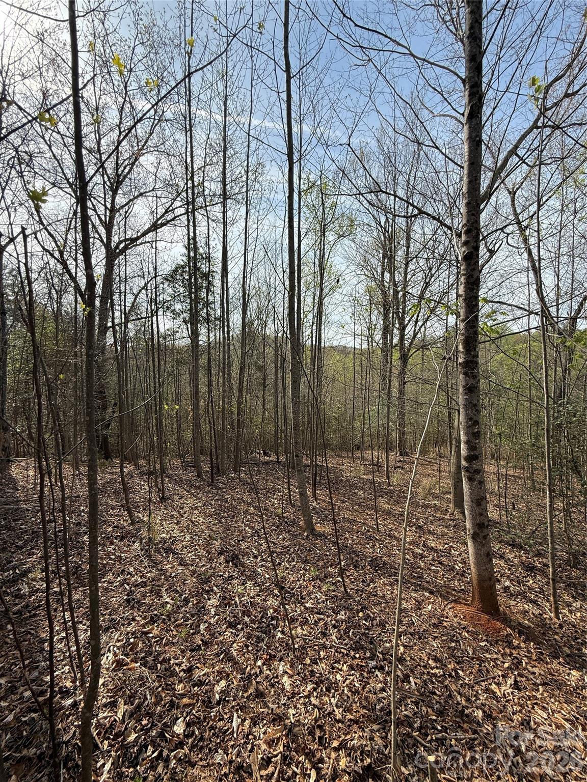 MASTERPIECE MEADOWS - Land