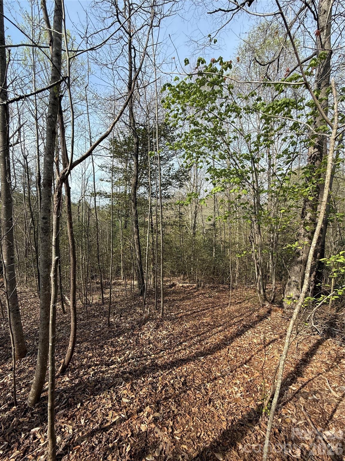 MASTERPIECE MEADOWS - Land