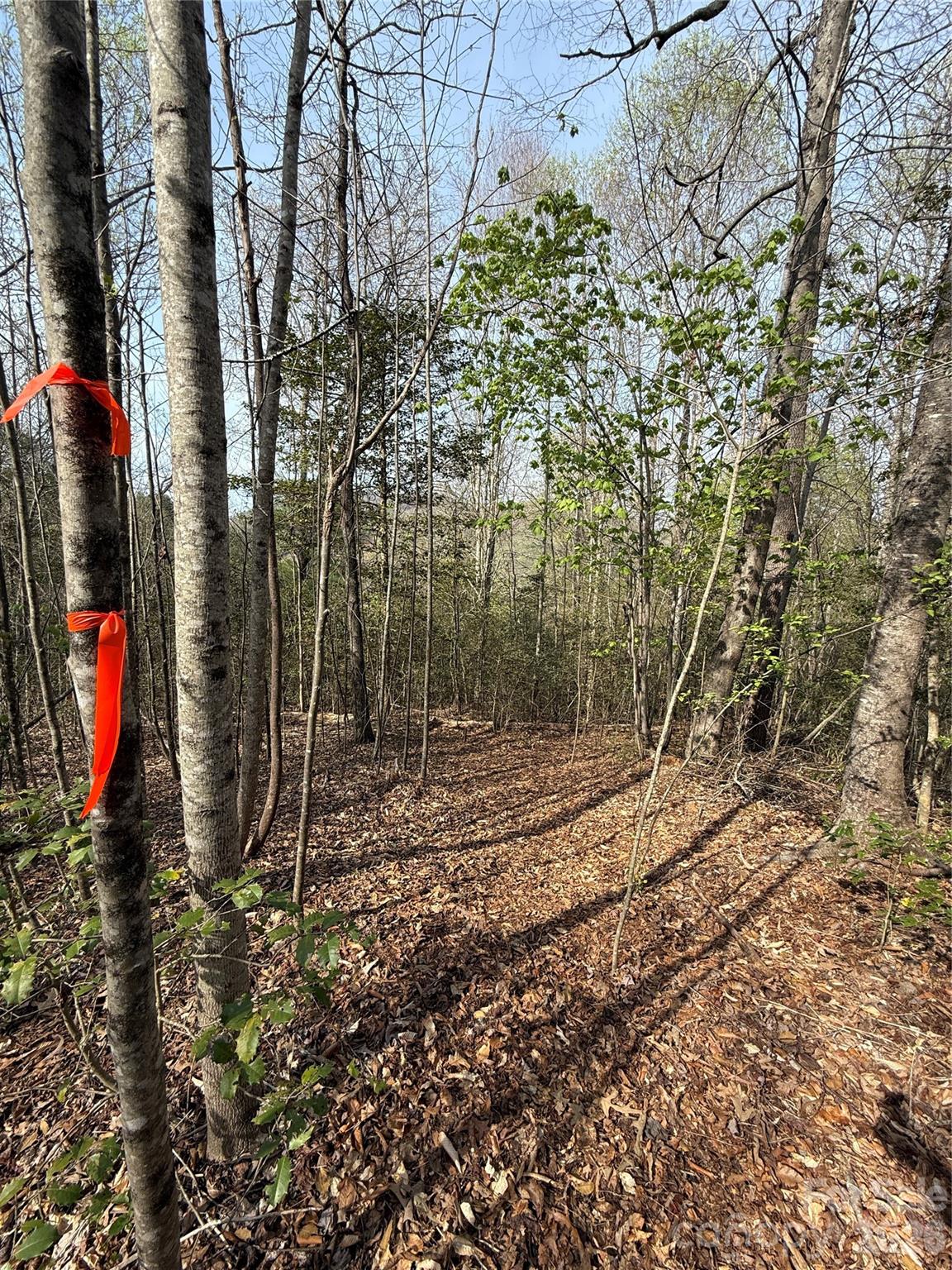 MASTERPIECE MEADOWS - Land