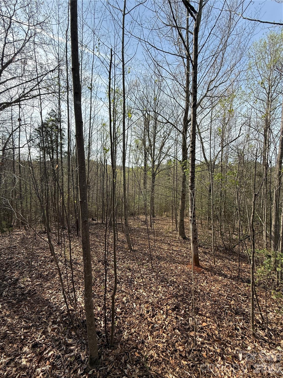 MASTERPIECE MEADOWS - Land