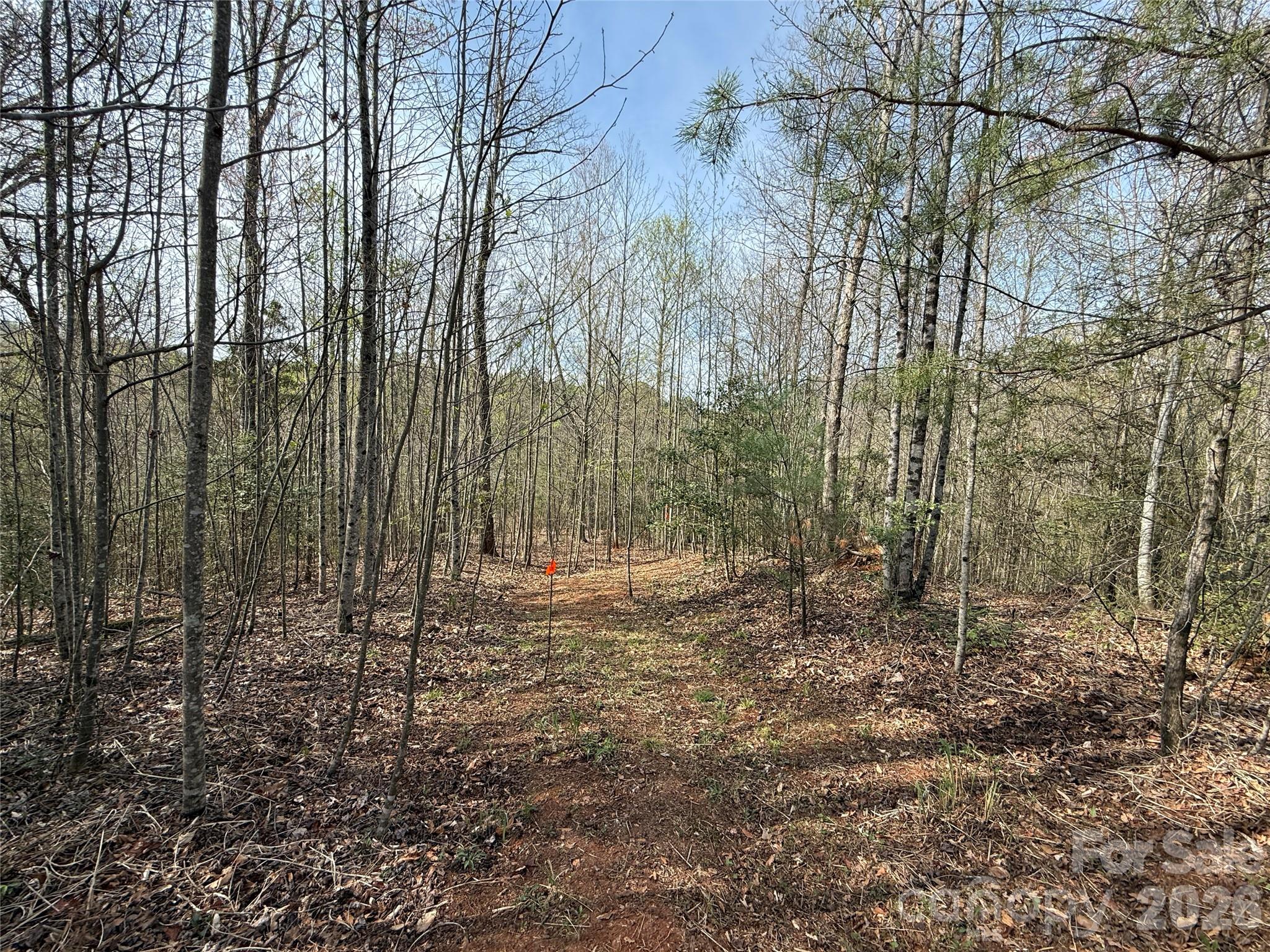 MASTERPIECE MEADOWS - Land