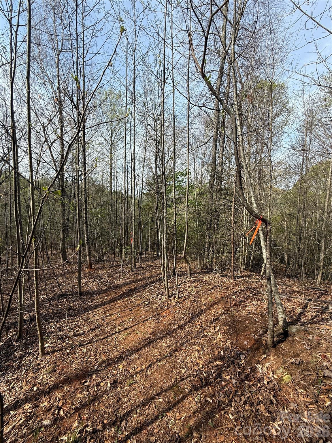 MASTERPIECE MEADOWS - Land