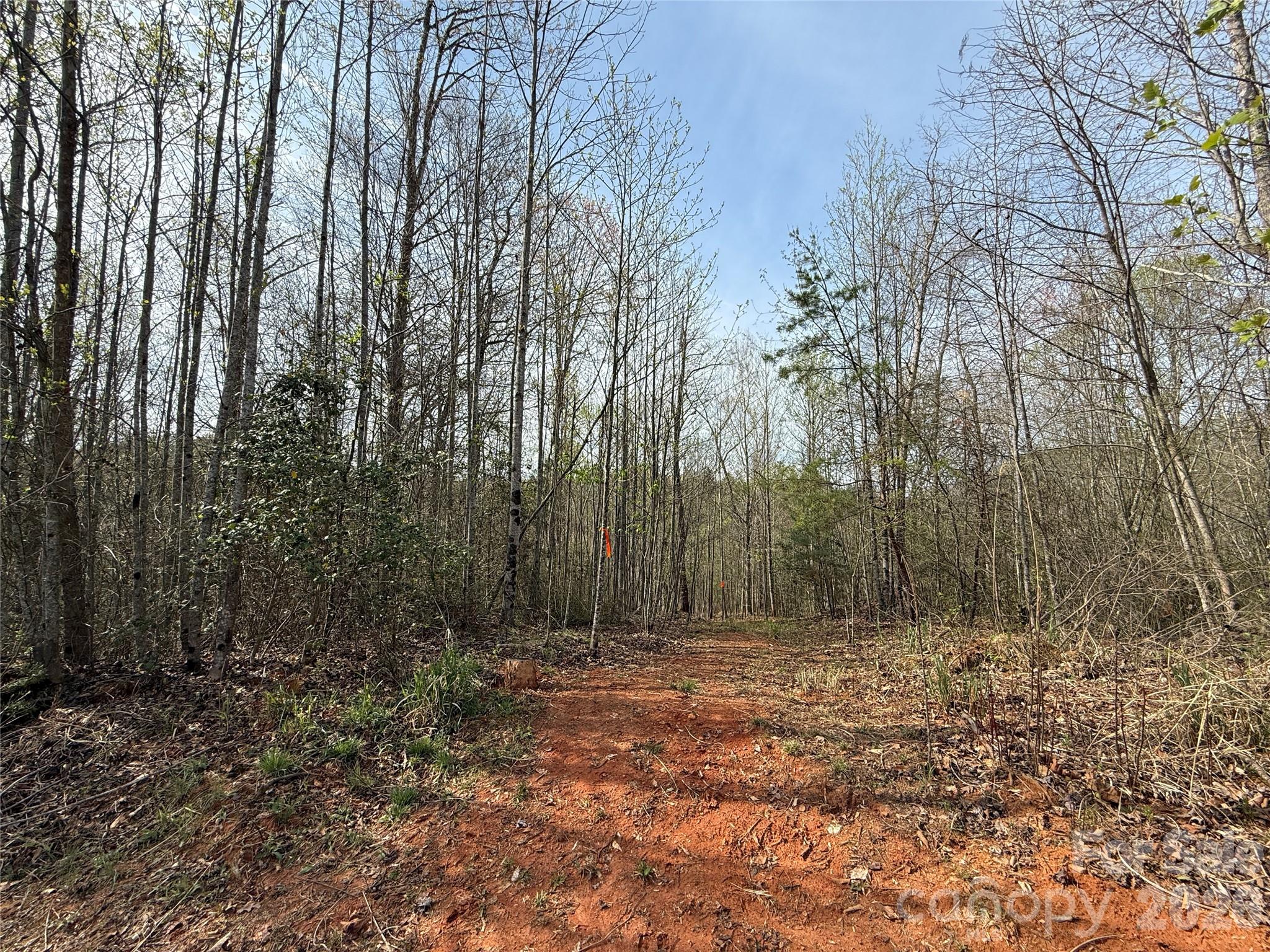 MASTERPIECE MEADOWS - Land