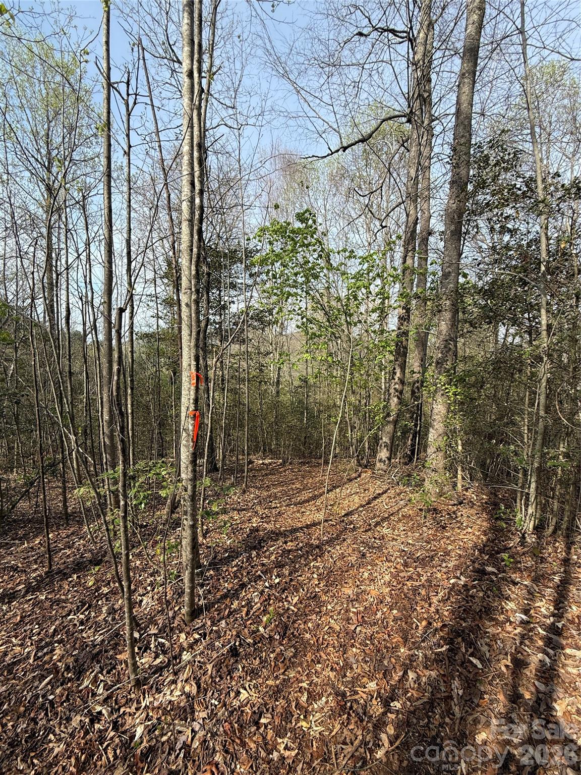 MASTERPIECE MEADOWS - Land