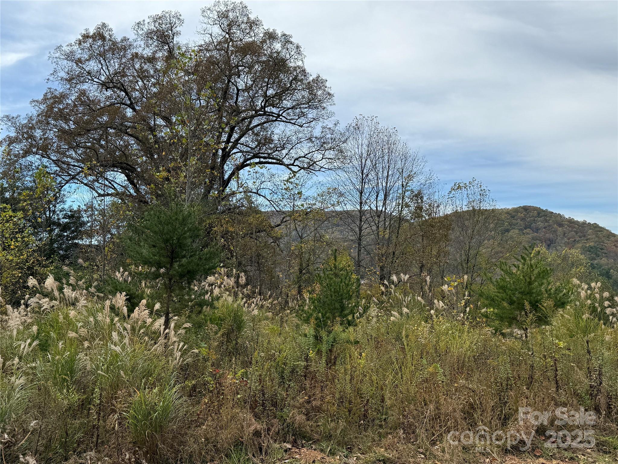 MASTERPIECE MEADOWS - Land