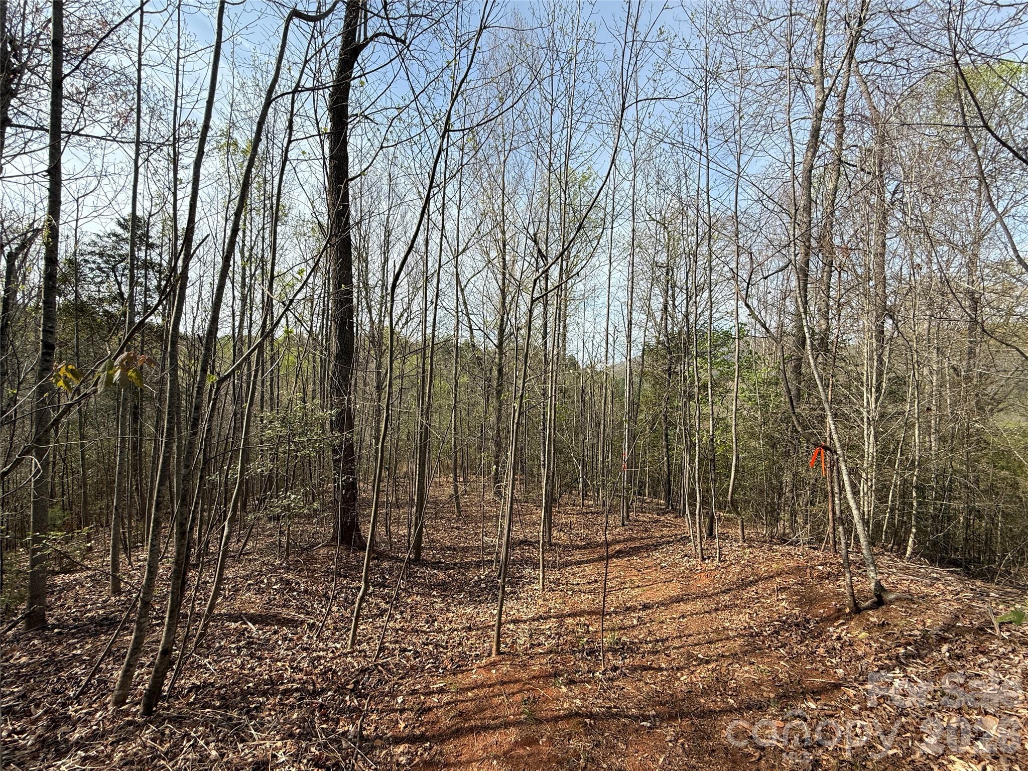 MASTERPIECE MEADOWS - Land