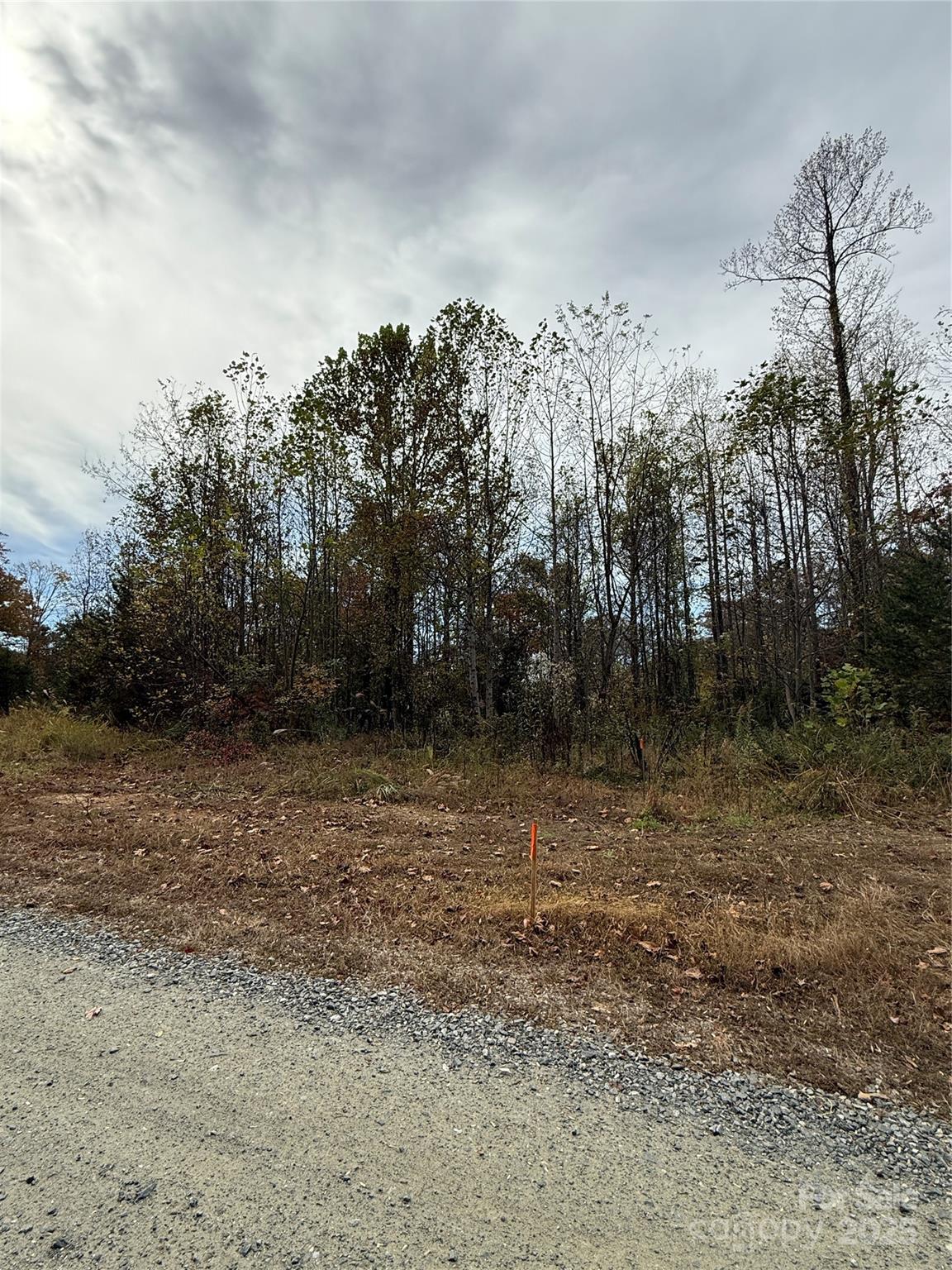 MASTERPIECE MEADOWS - Land