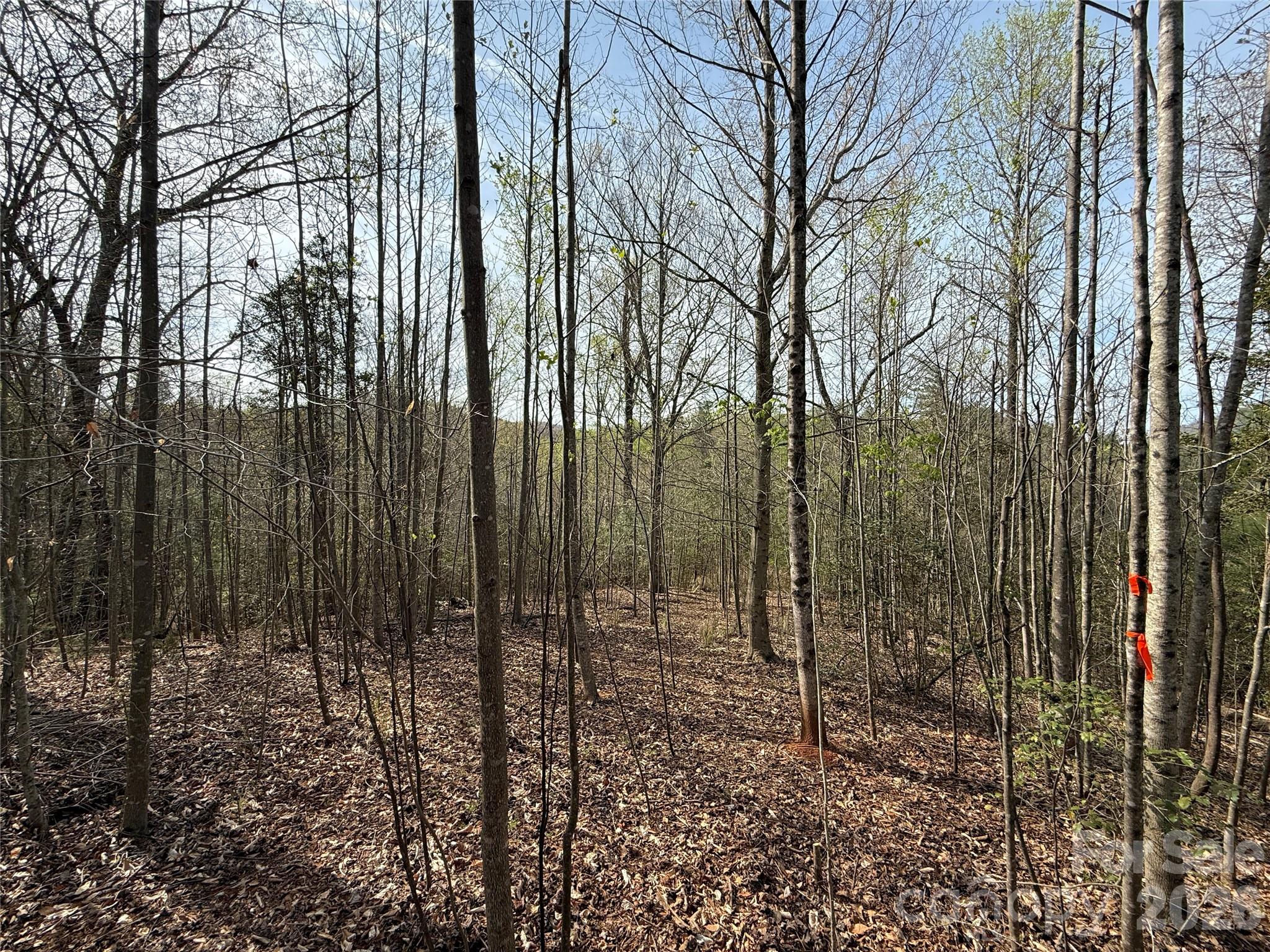 MASTERPIECE MEADOWS - Land