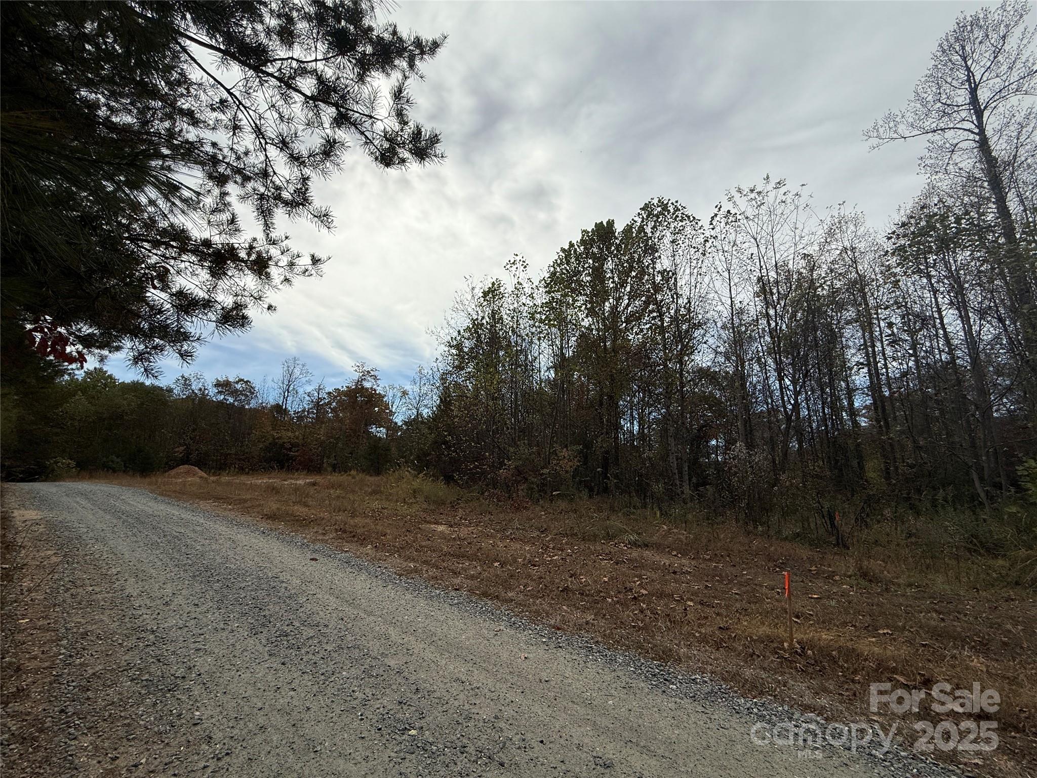 MASTERPIECE MEADOWS - Land