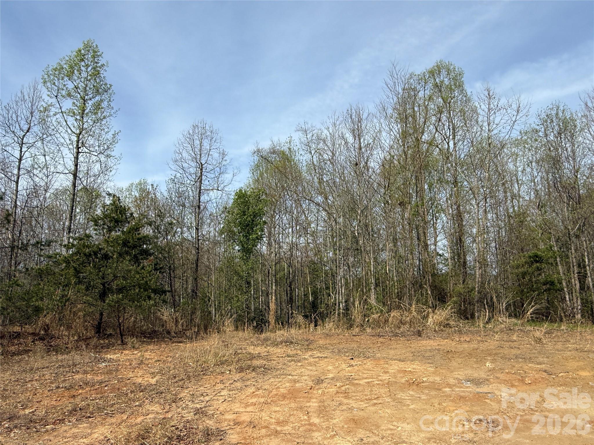 MASTERPIECE MEADOWS - Land