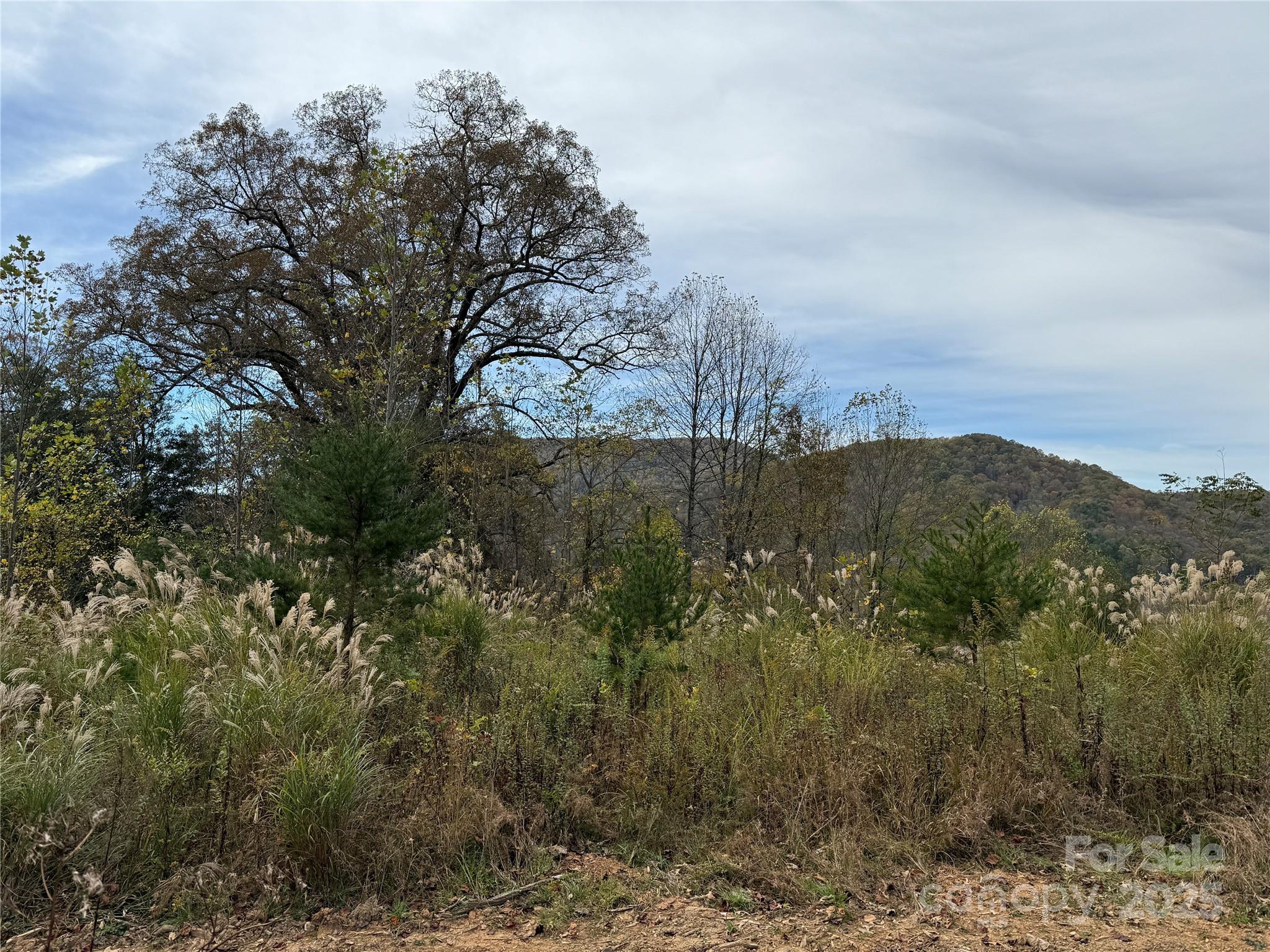 MASTERPIECE MEADOWS - Land