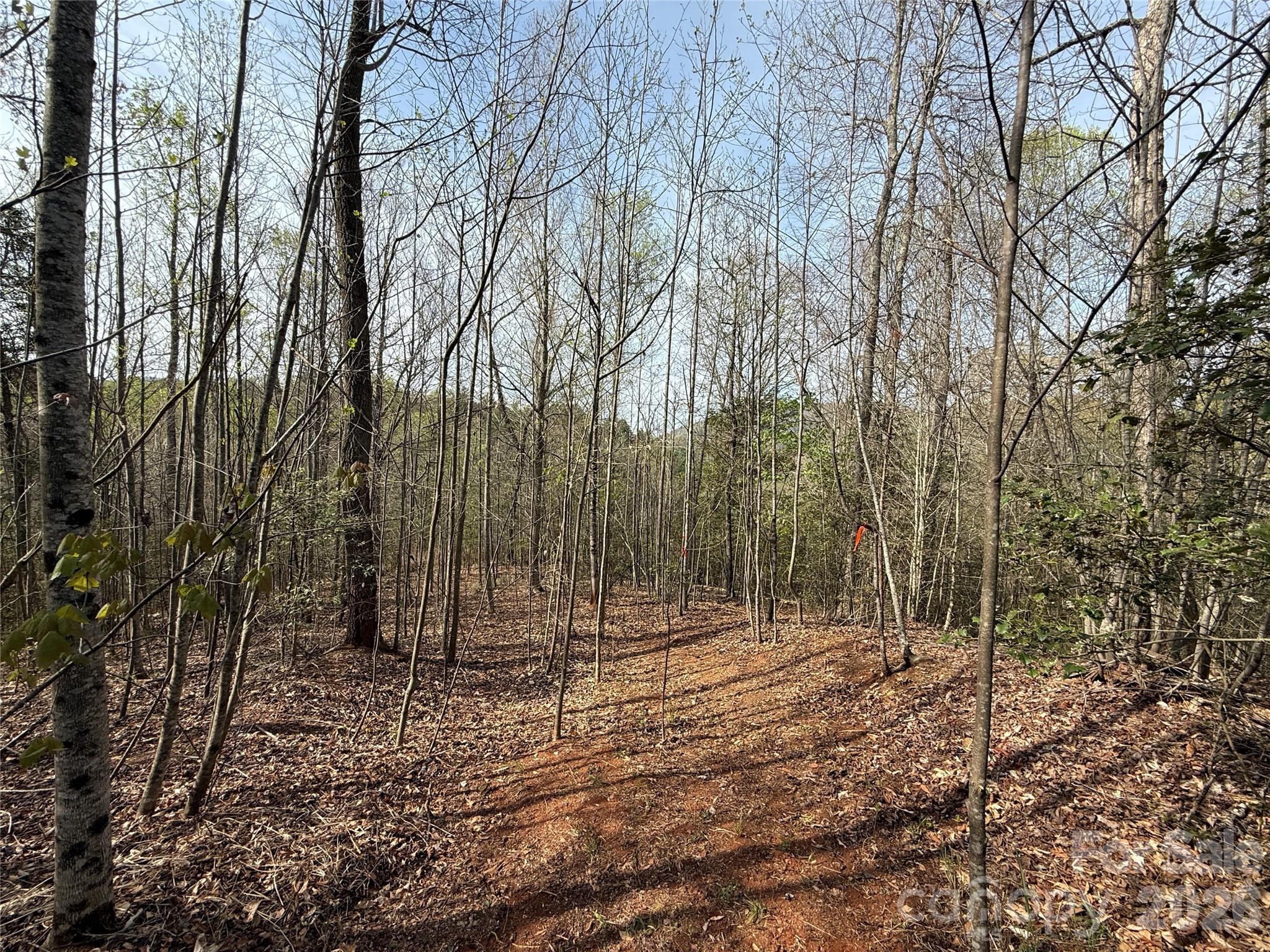 MASTERPIECE MEADOWS - Land