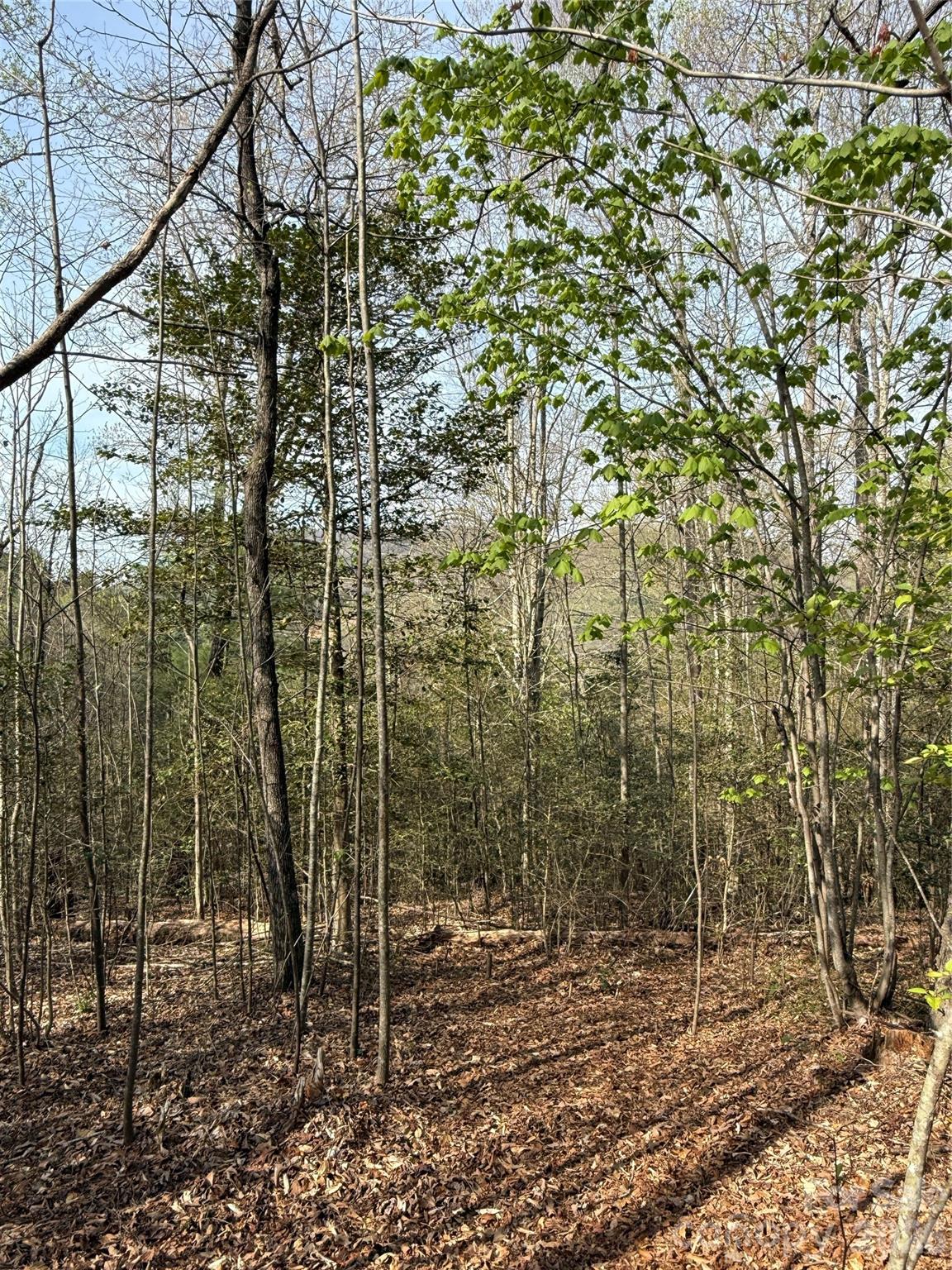 MASTERPIECE MEADOWS - Land