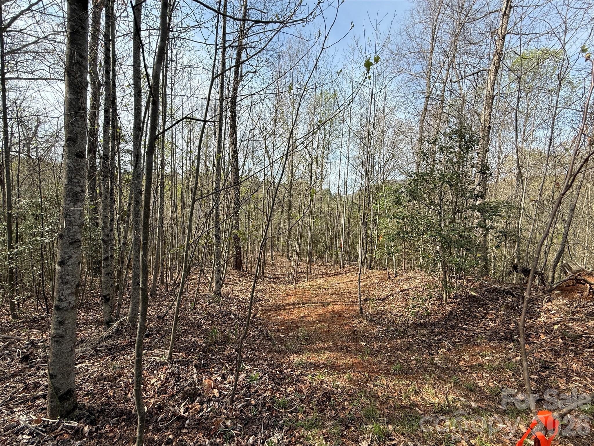 MASTERPIECE MEADOWS - Land