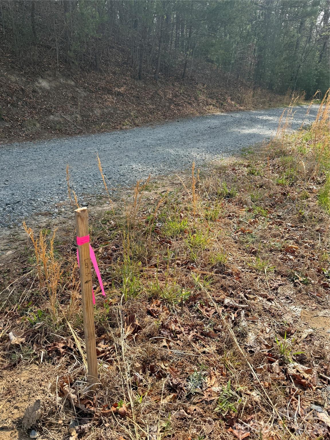 MASTERPIECE MEADOWS - Land