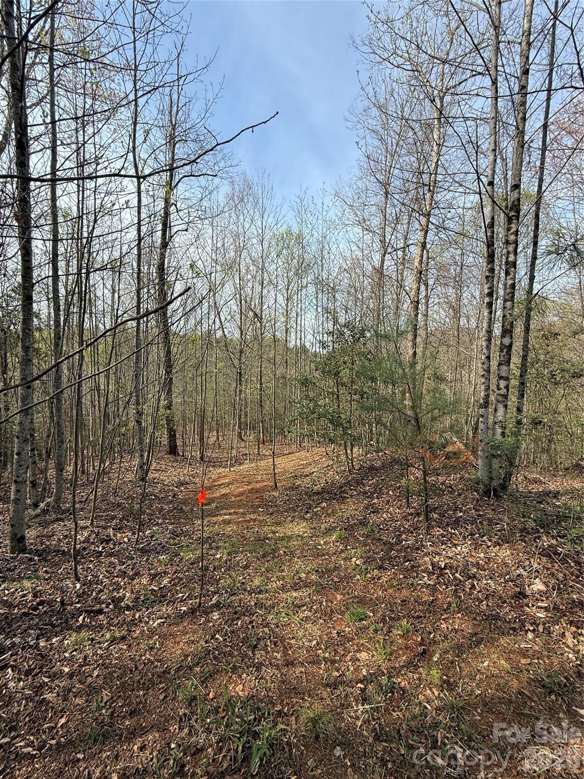 MASTERPIECE MEADOWS - Land