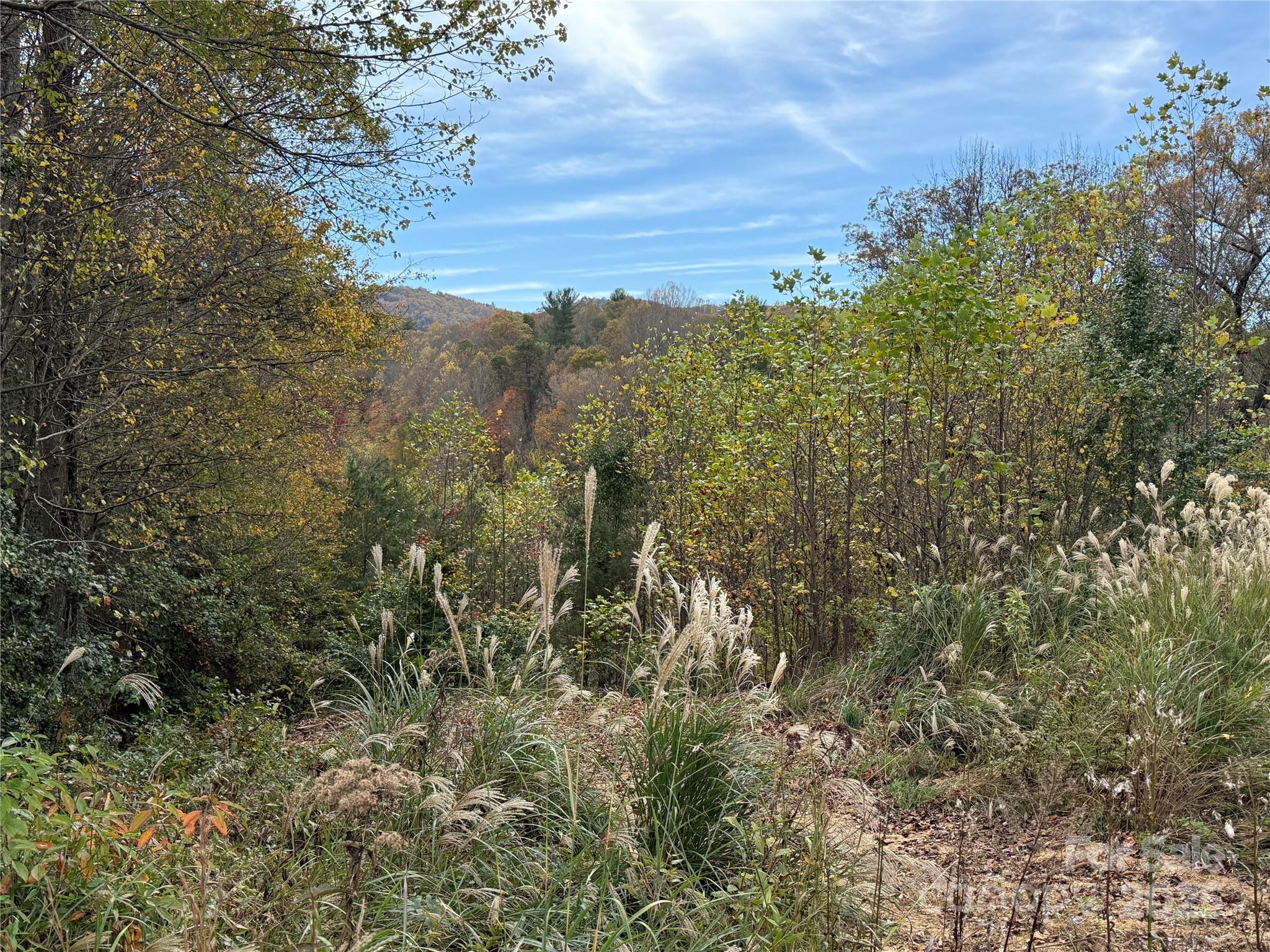 MASTERPIECE MEADOWS - Land