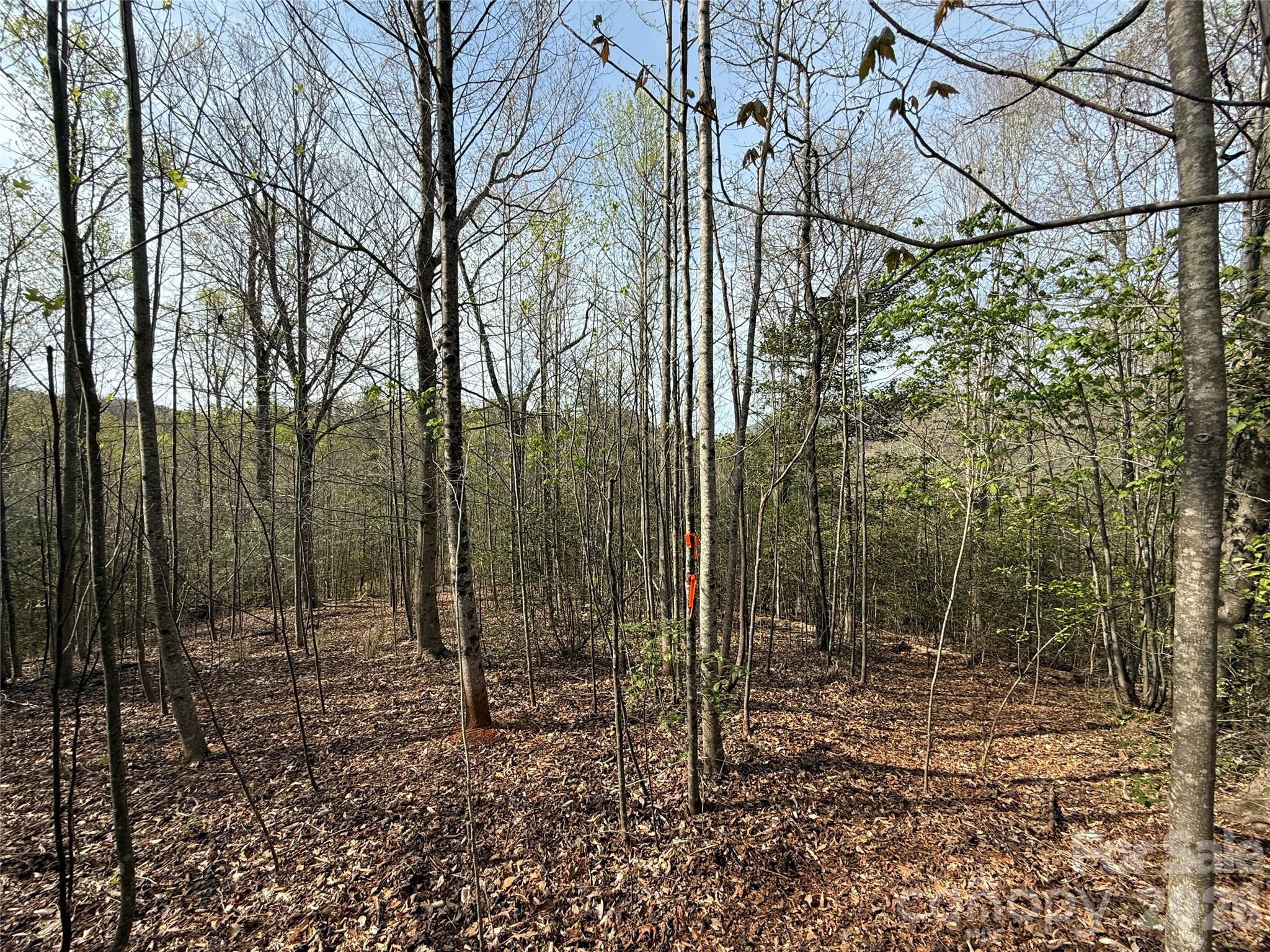 MASTERPIECE MEADOWS - Land