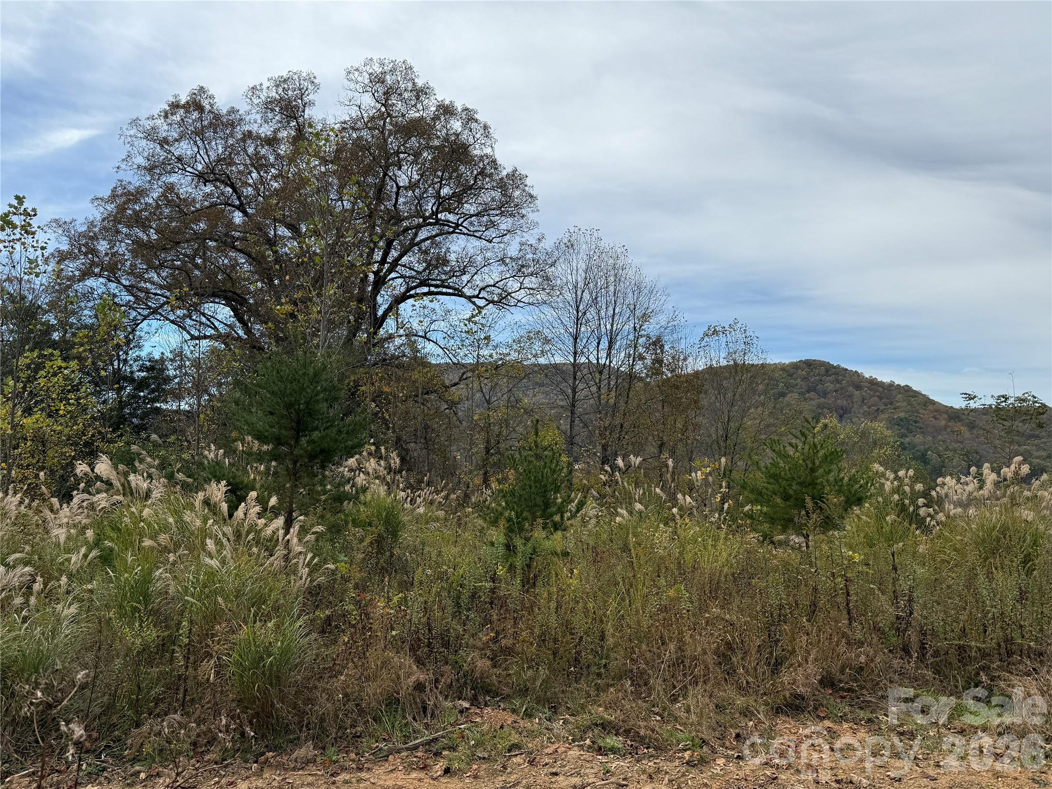 MASTERPIECE MEADOWS - Land