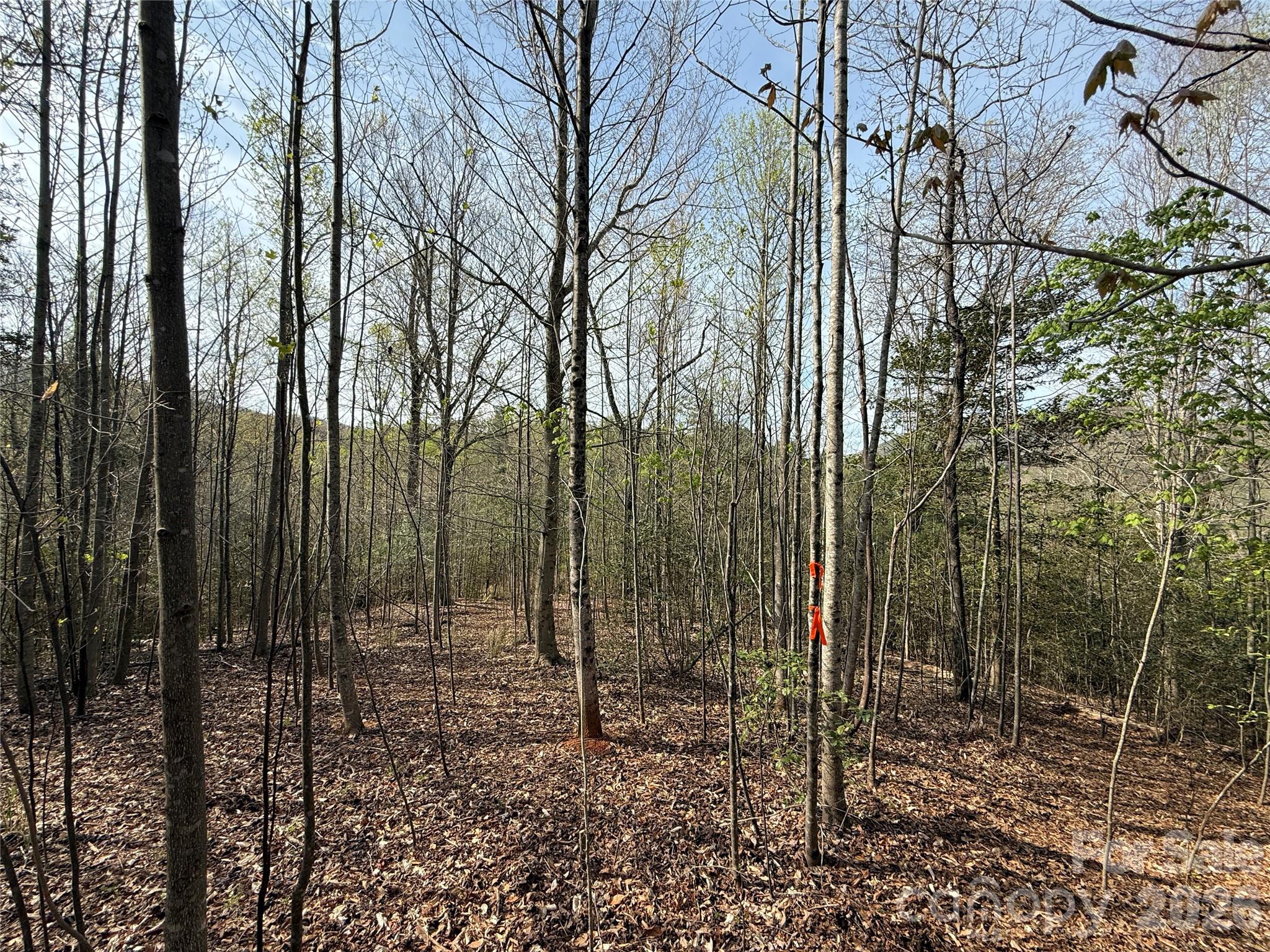 MASTERPIECE MEADOWS - Land