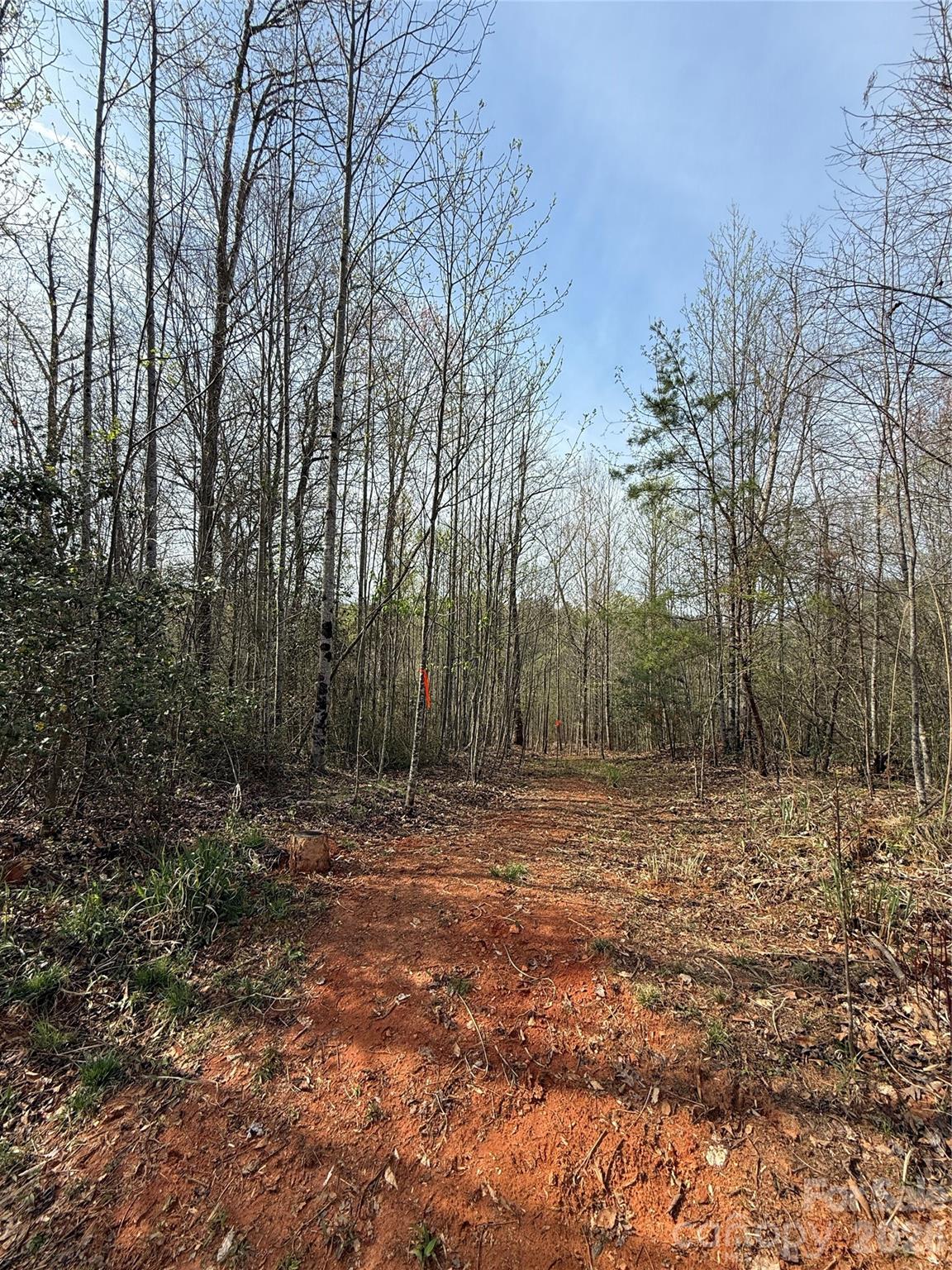 MASTERPIECE MEADOWS - Land