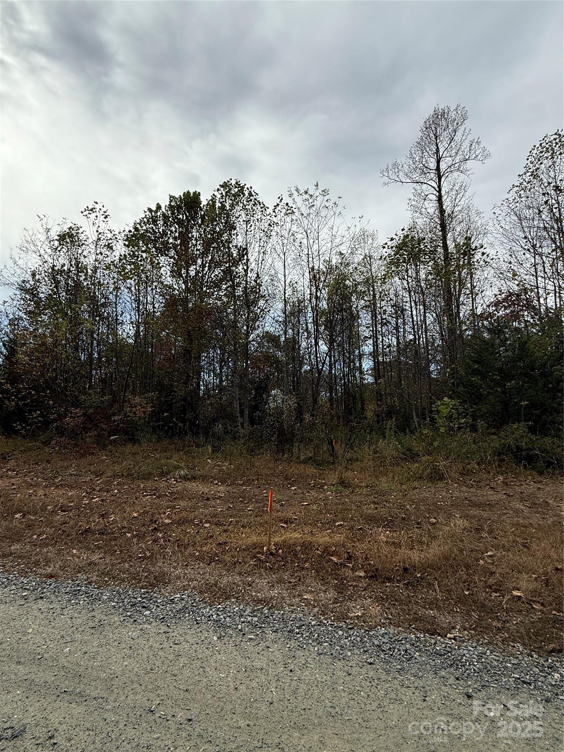 MASTERPIECE MEADOWS - Land