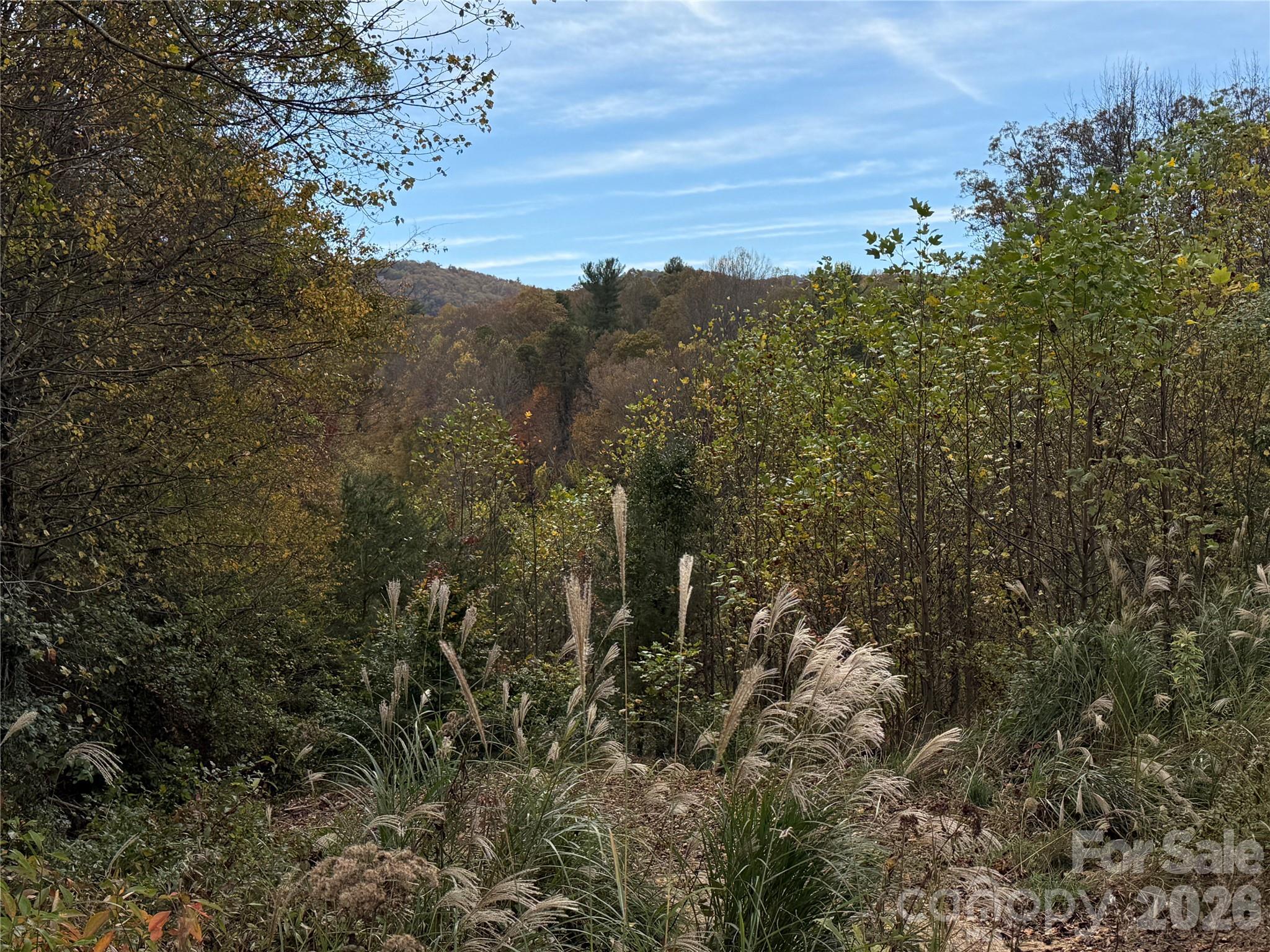 MASTERPIECE MEADOWS - Land