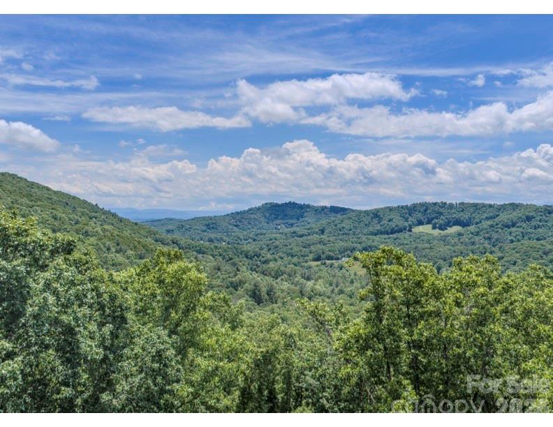 10 Fall Mountain Road 56