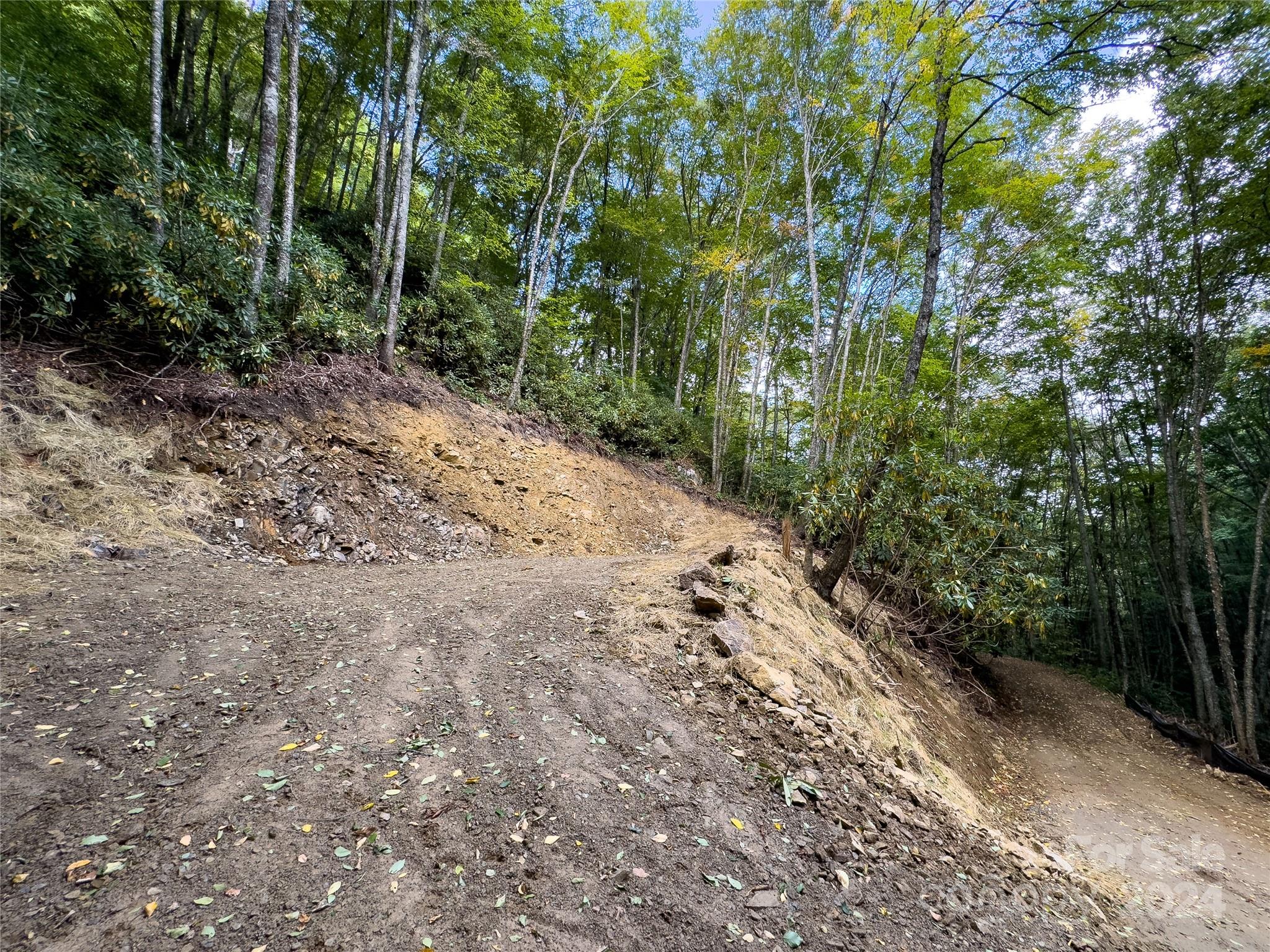 Black Rock Creek - Land