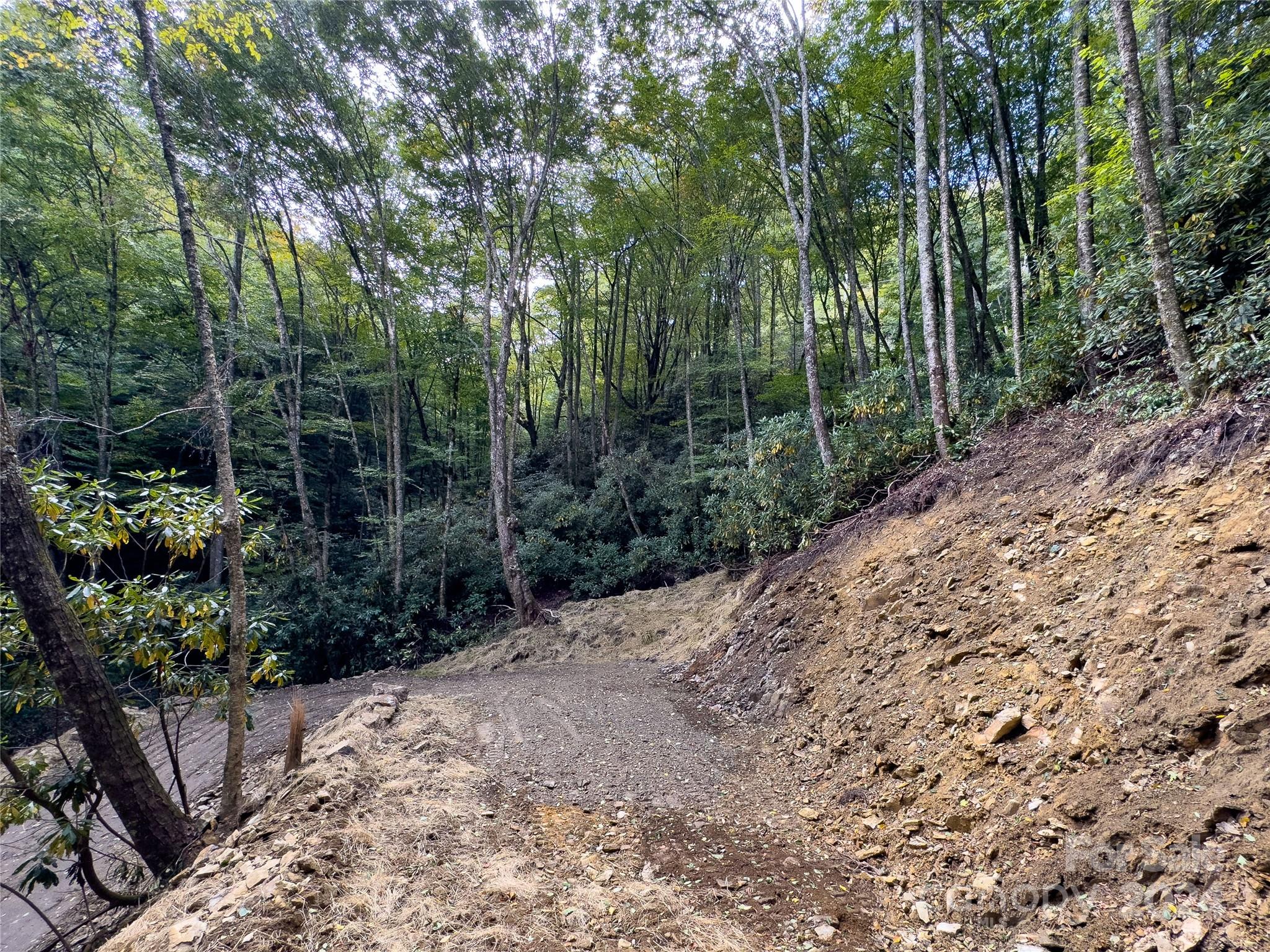 Black Rock Creek - Land