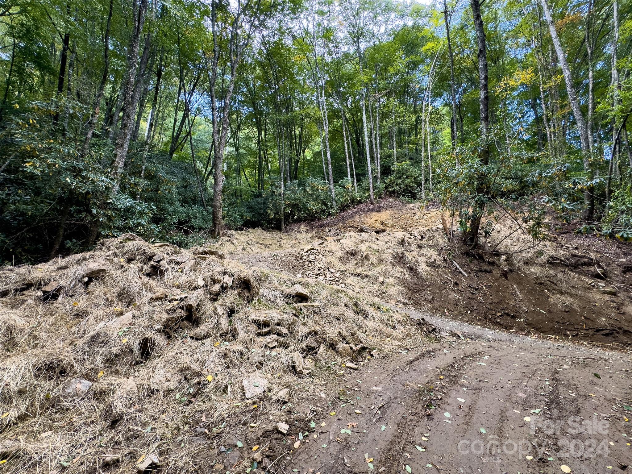 Black Rock Creek - Land