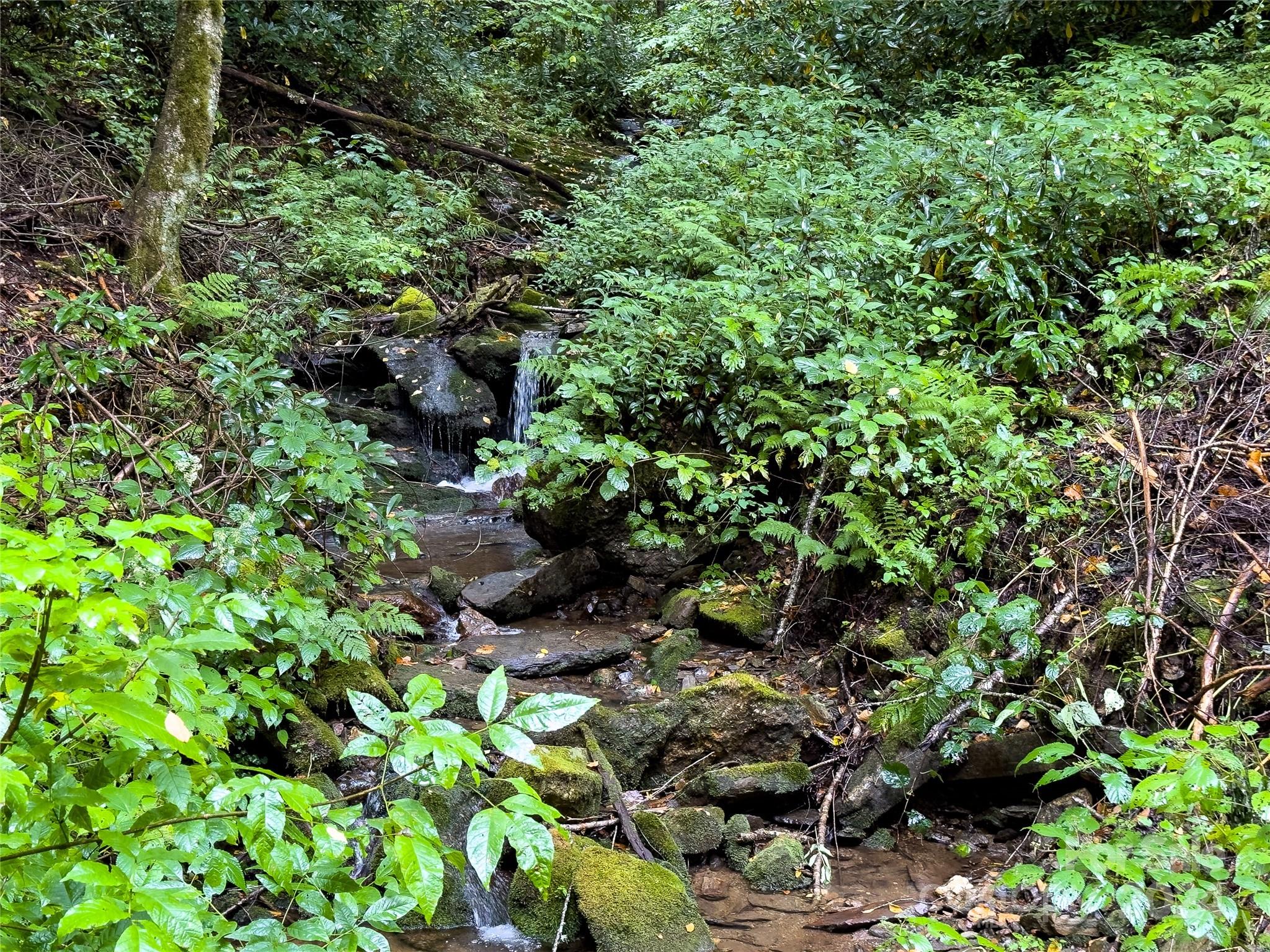 Black Rock Creek - Land