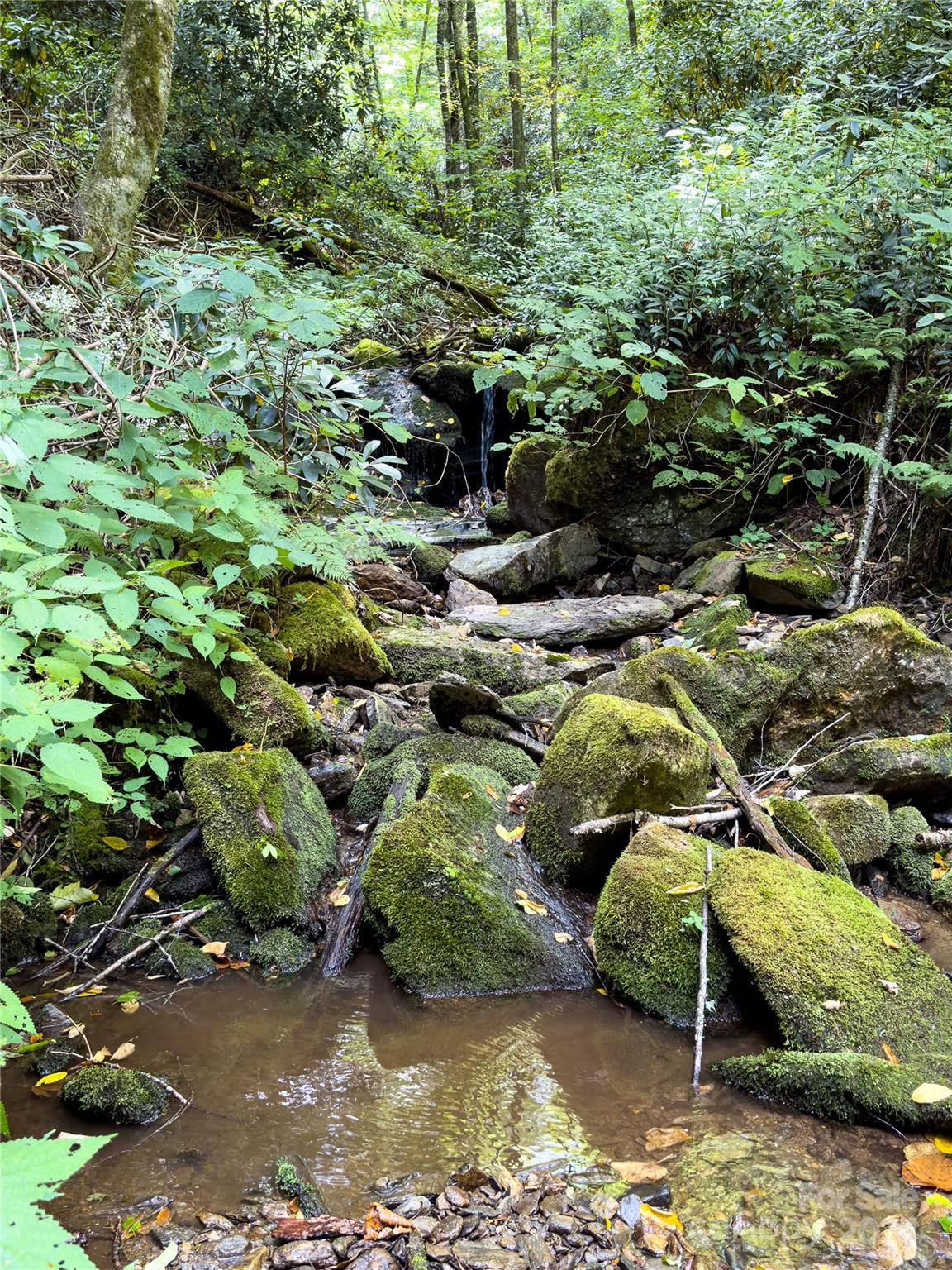 Lot 59 Black Rock Road 59