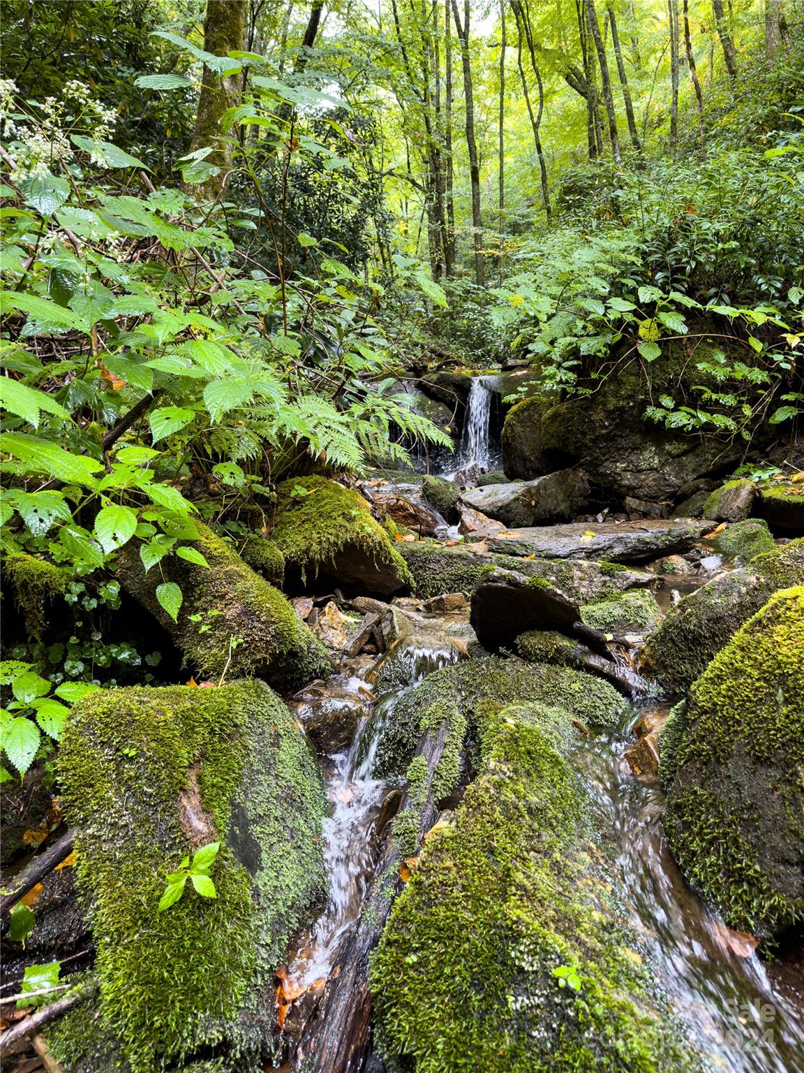 Lot 59 Black Rock Road 59