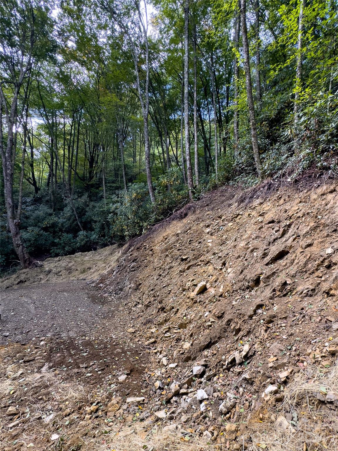 Black Rock Creek - Land