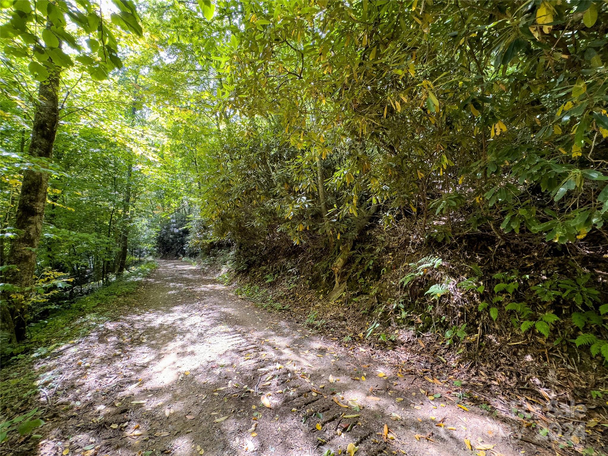 Black Rock Creek - Land