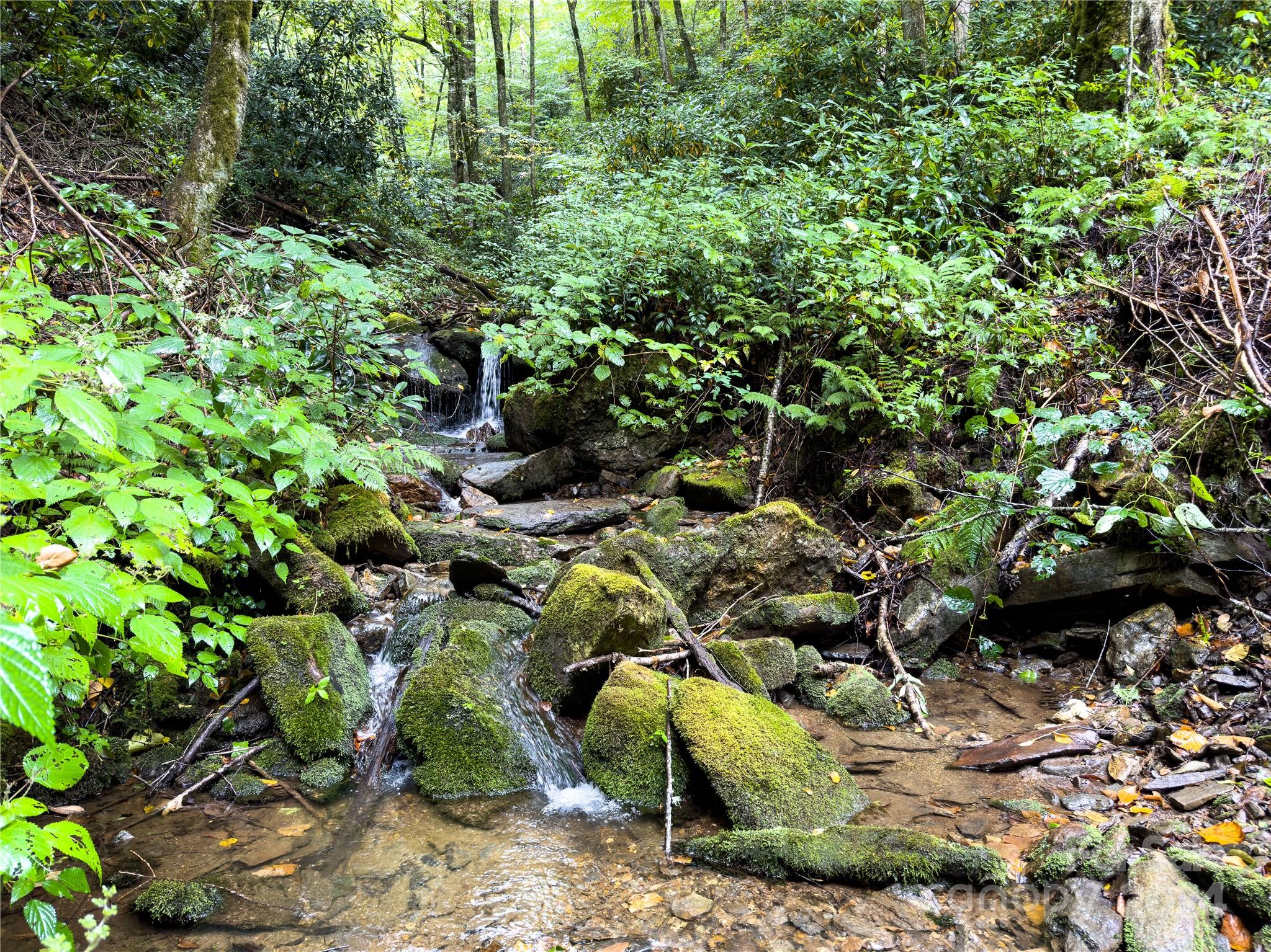 Black Rock Creek - Land
