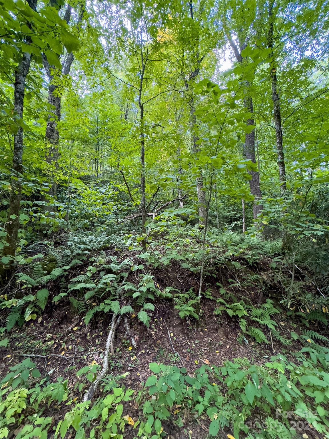 Black Rock Creek - Land