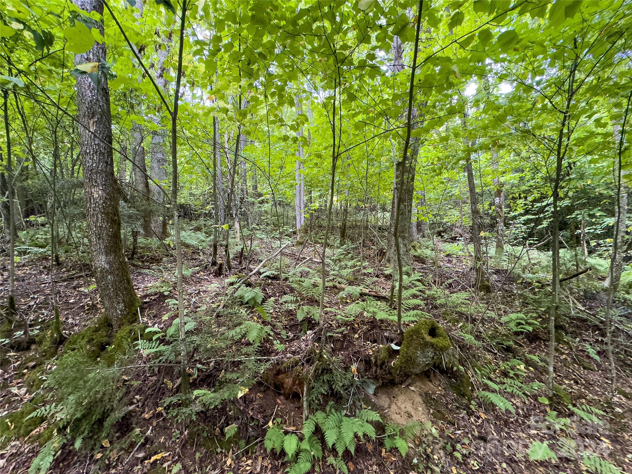 Black Rock Creek - Land