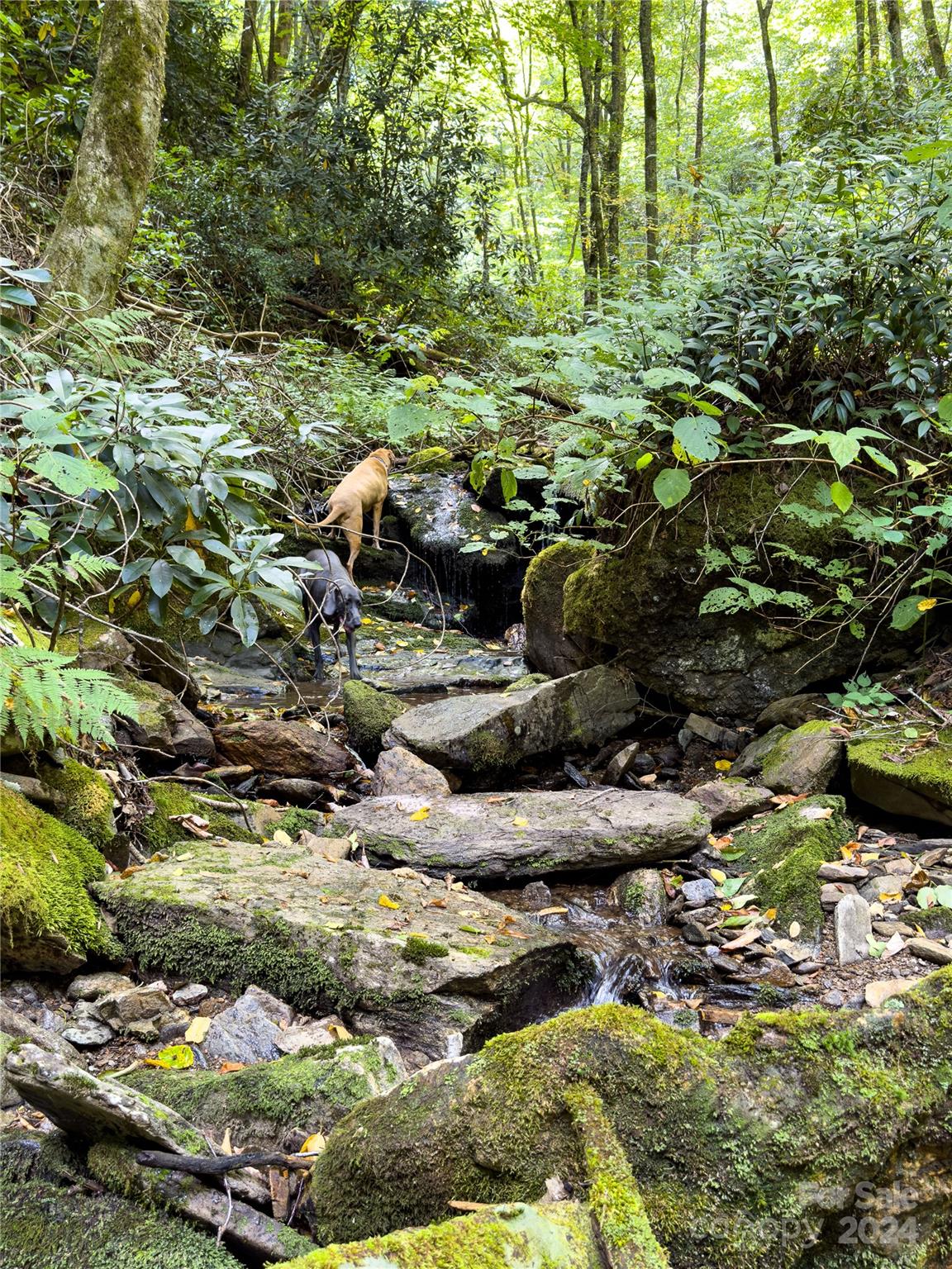 Lot 59 Black Rock Road 59