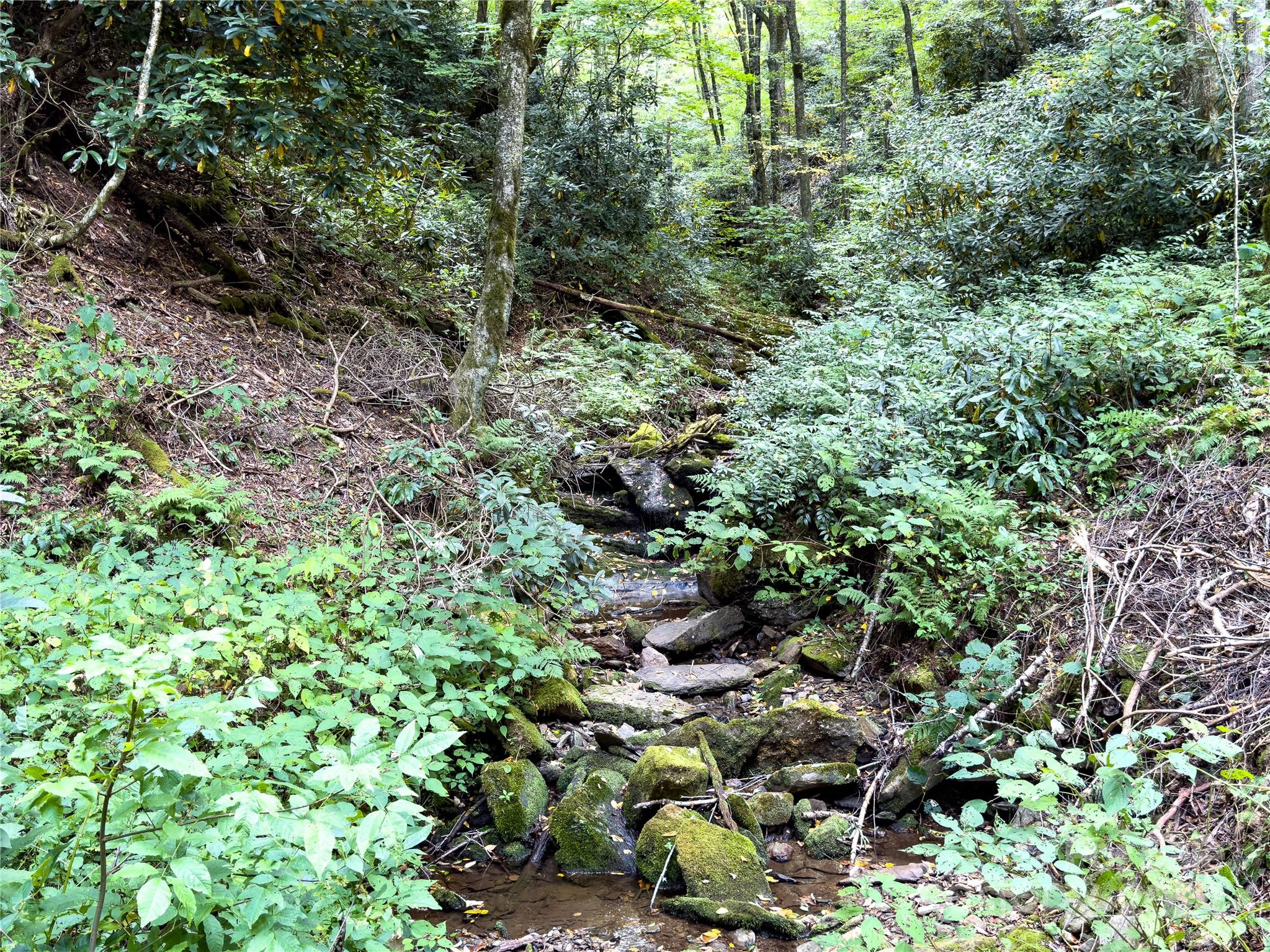 Lot 59 Black Rock Road 59