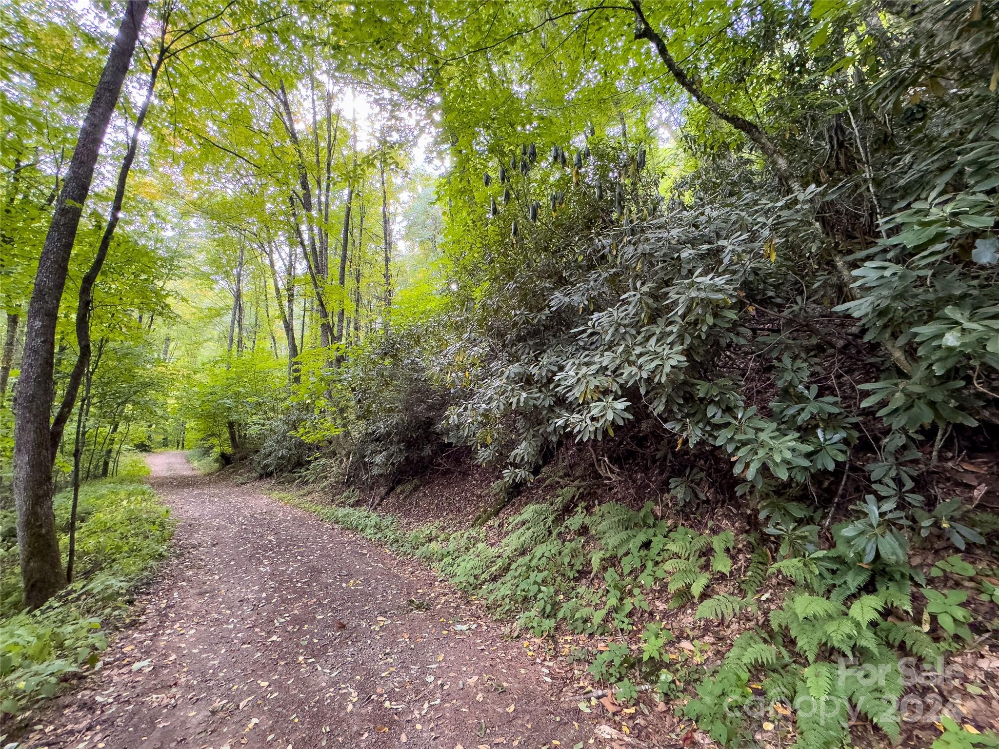 Black Rock Creek - Land