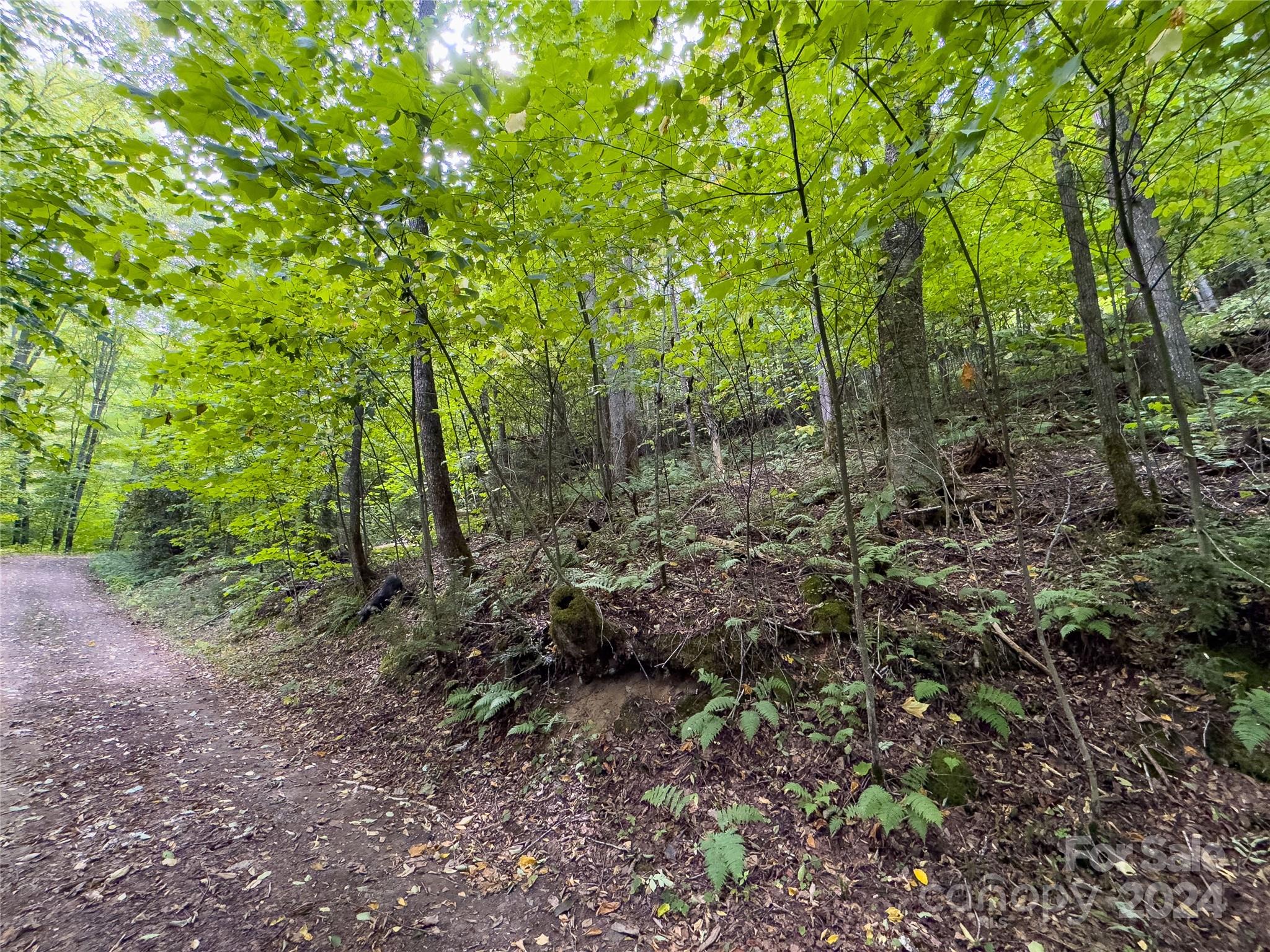 Black Rock Creek - Land