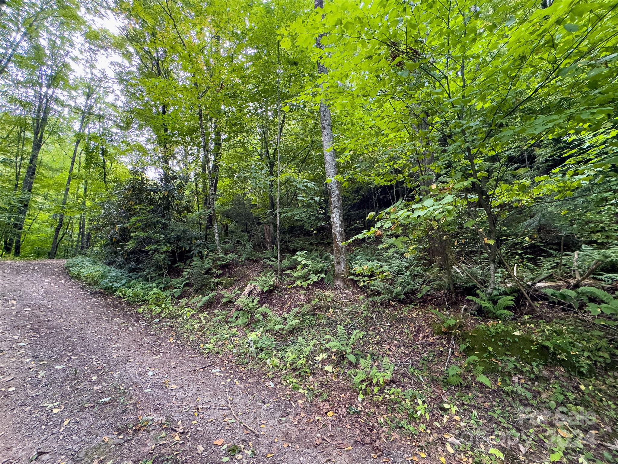 Black Rock Creek - Land