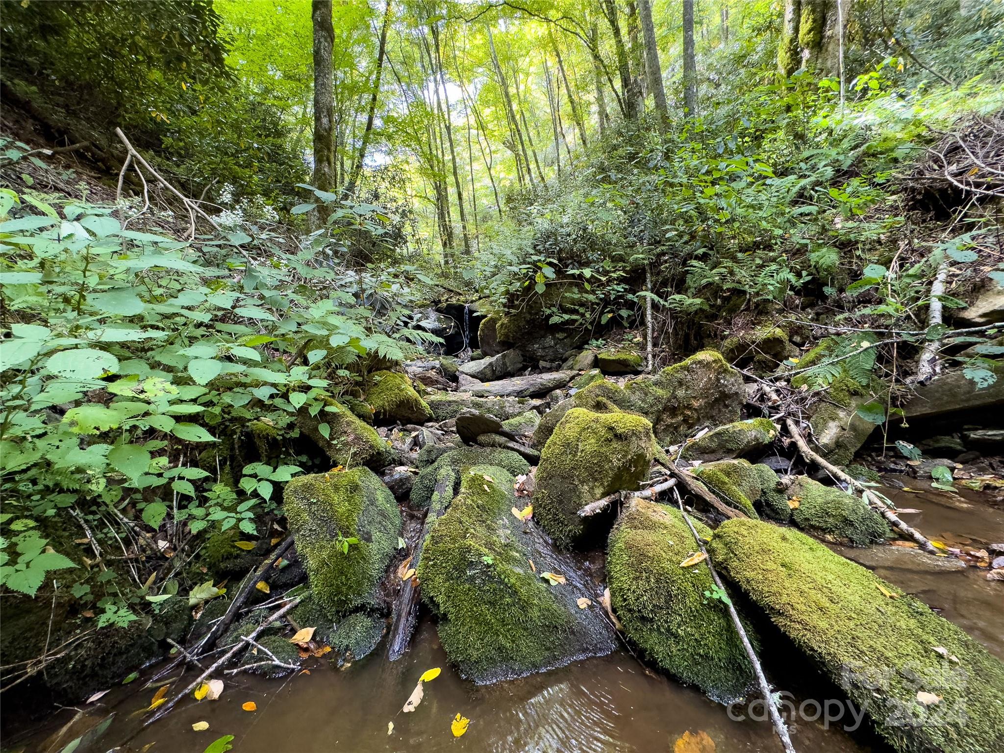Black Rock Creek - Land