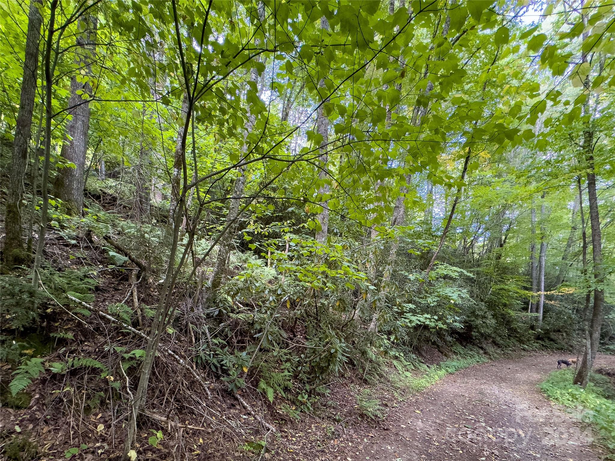 Black Rock Creek - Land