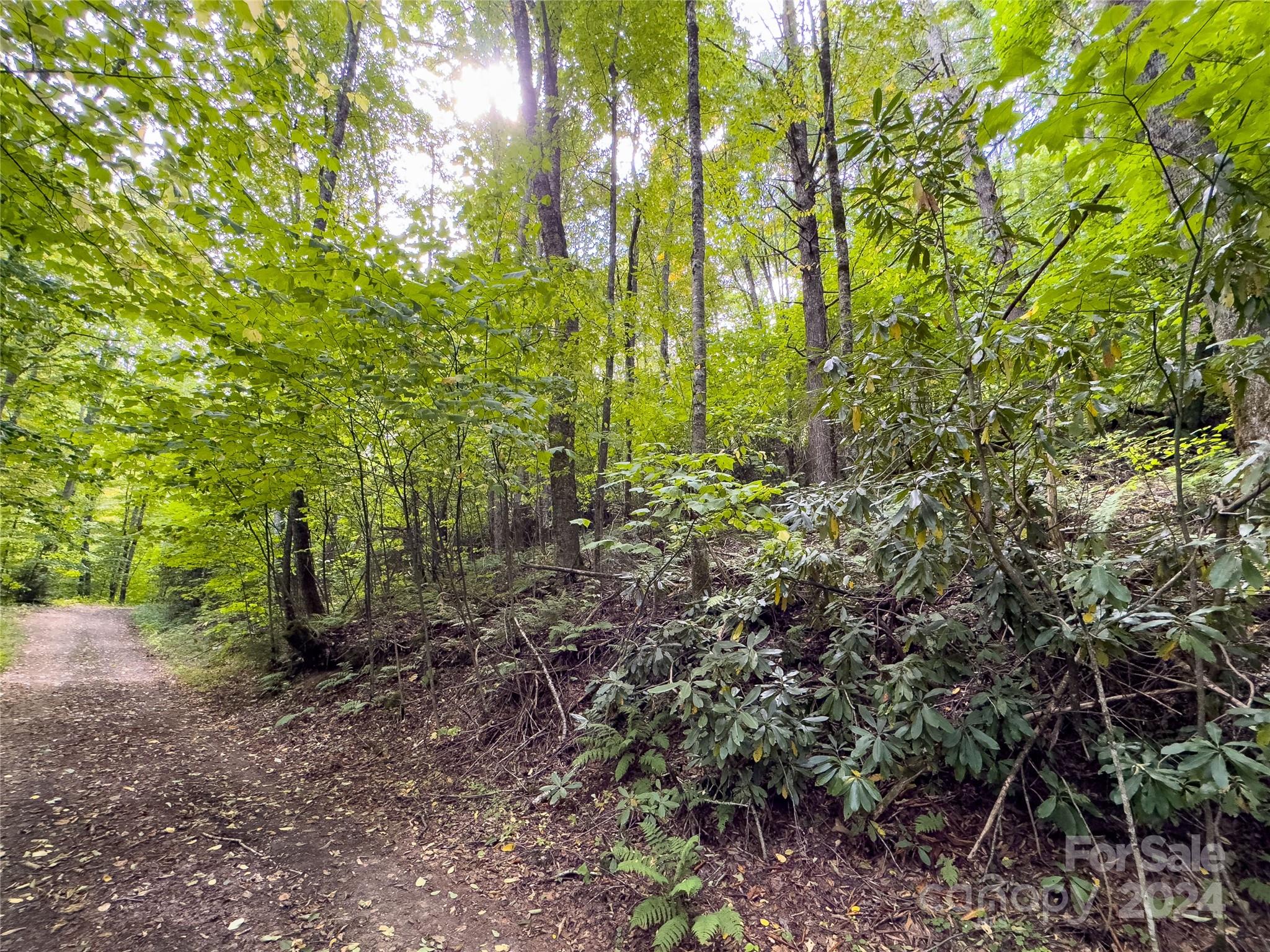 Black Rock Creek - Land