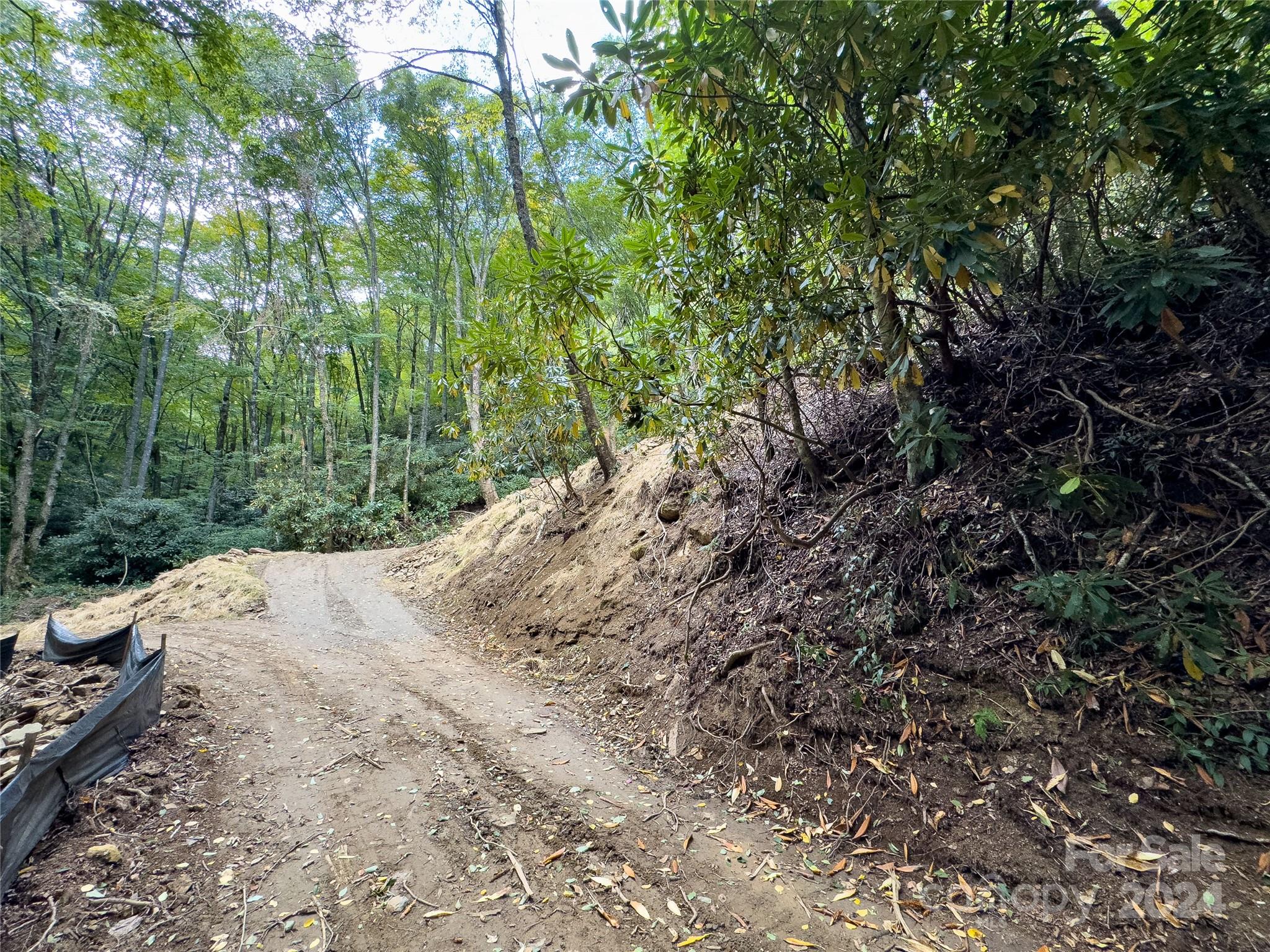 Black Rock Creek - Land