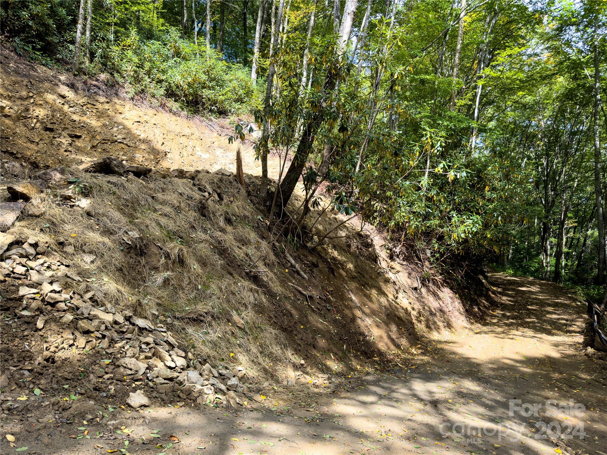 Black Rock Creek - Land